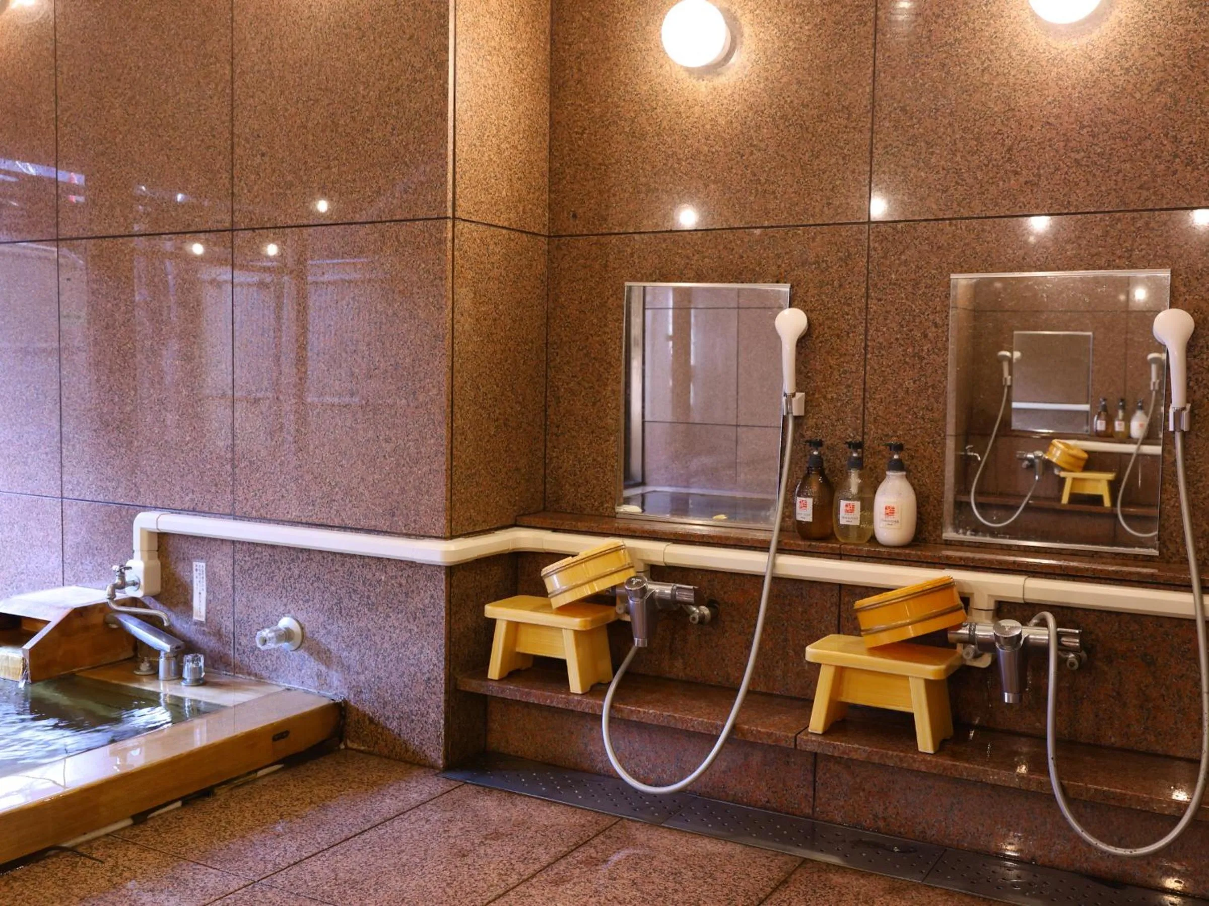 Public Bath in Shoji Mount Hotel