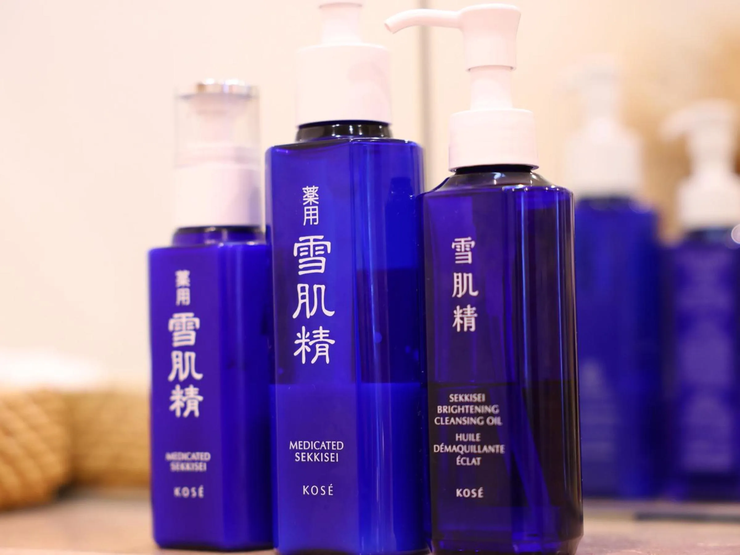 Public Bath in Shoji Mount Hotel