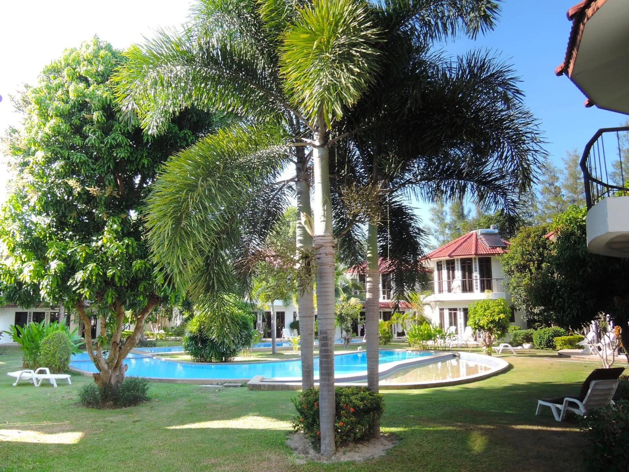 Swimming pool in Mango Spa & Resort
