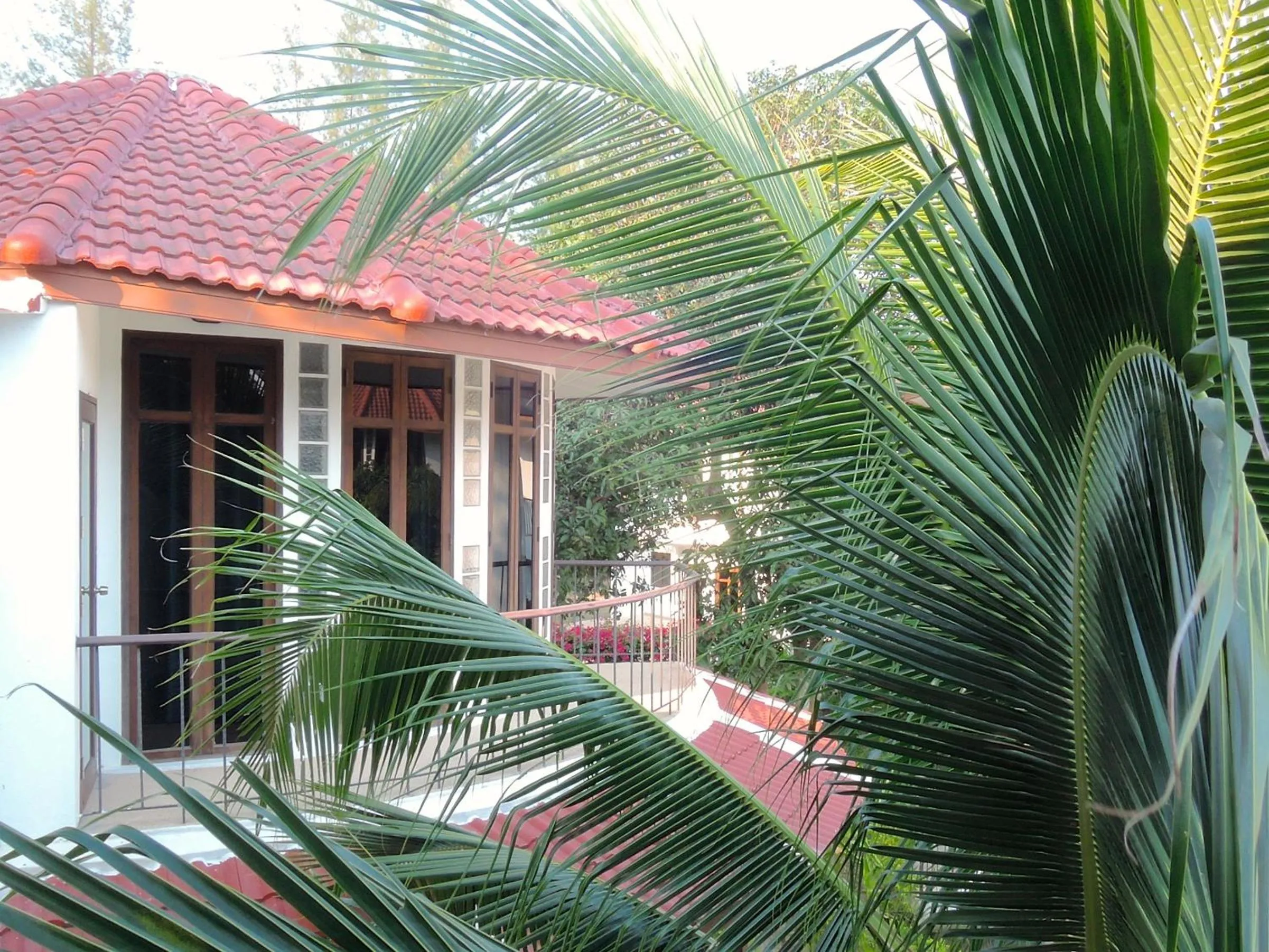 Garden view in Mango Spa & Resort