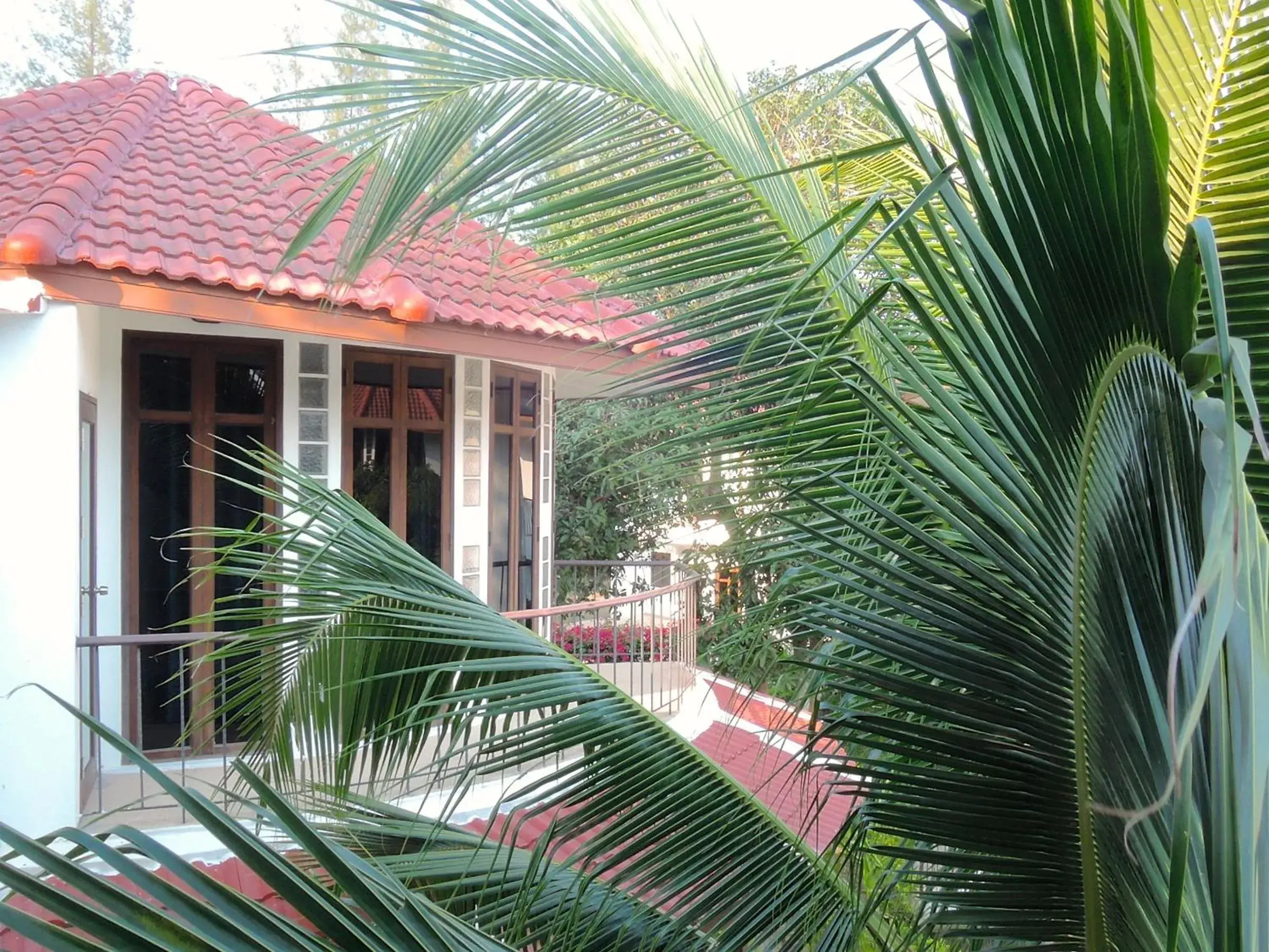 Garden view in Mango Spa & Resort Garden view in Mango Spa & Resort