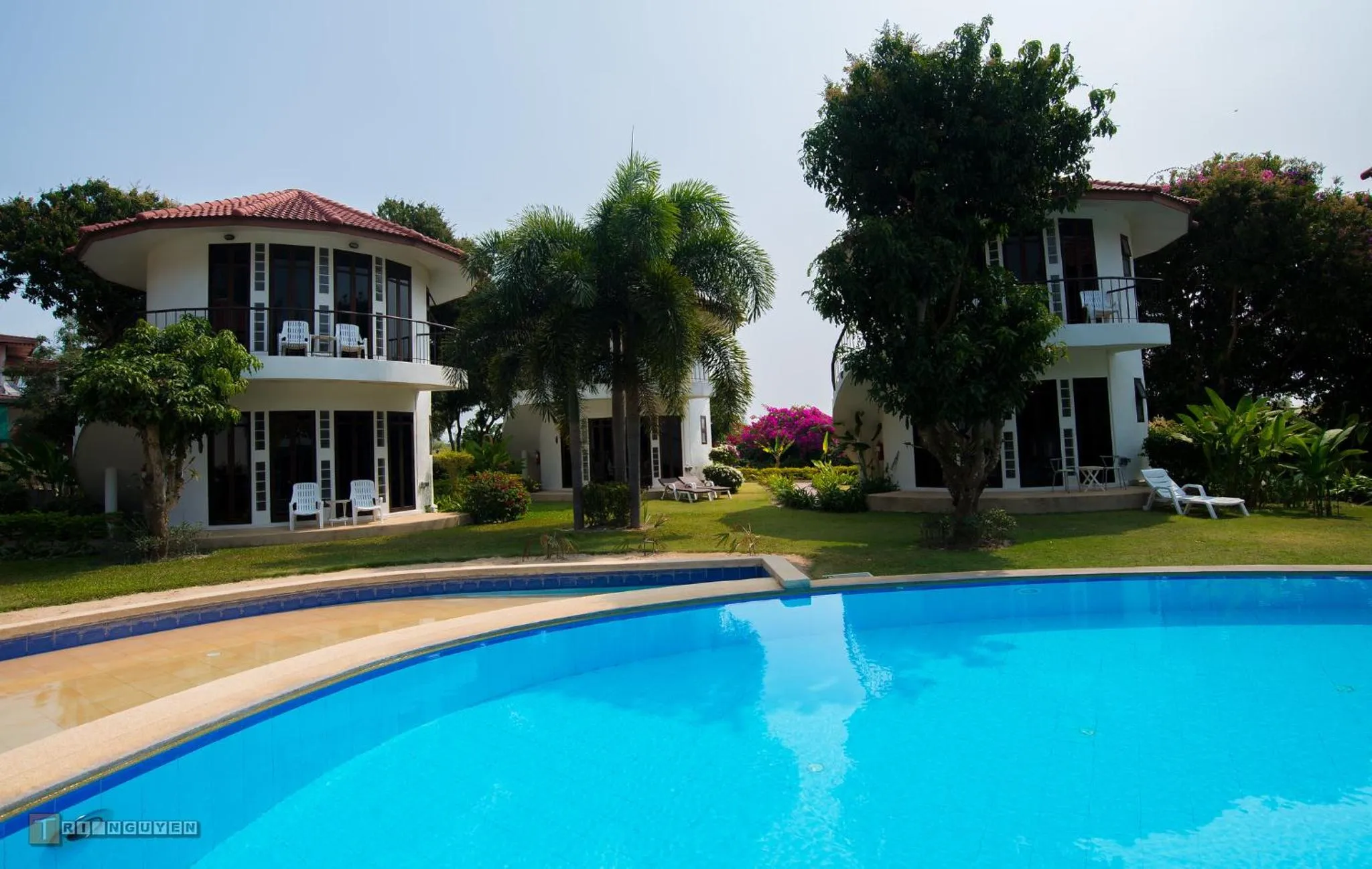 Swimming pool in Mango Spa & Resort