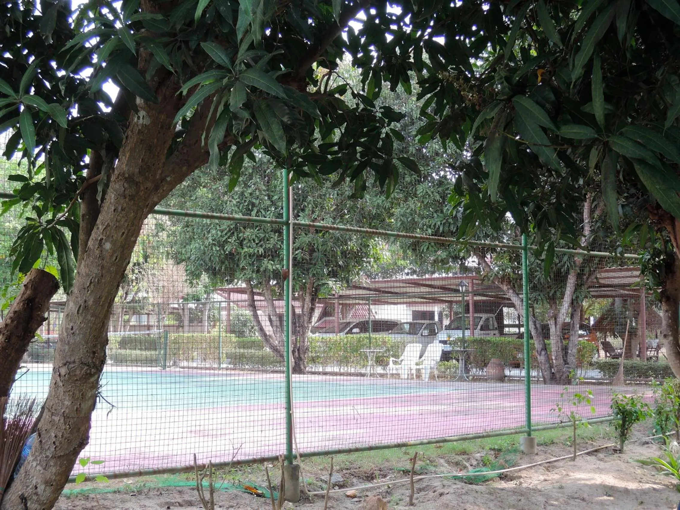 Tennis court in Mango Spa & Resort