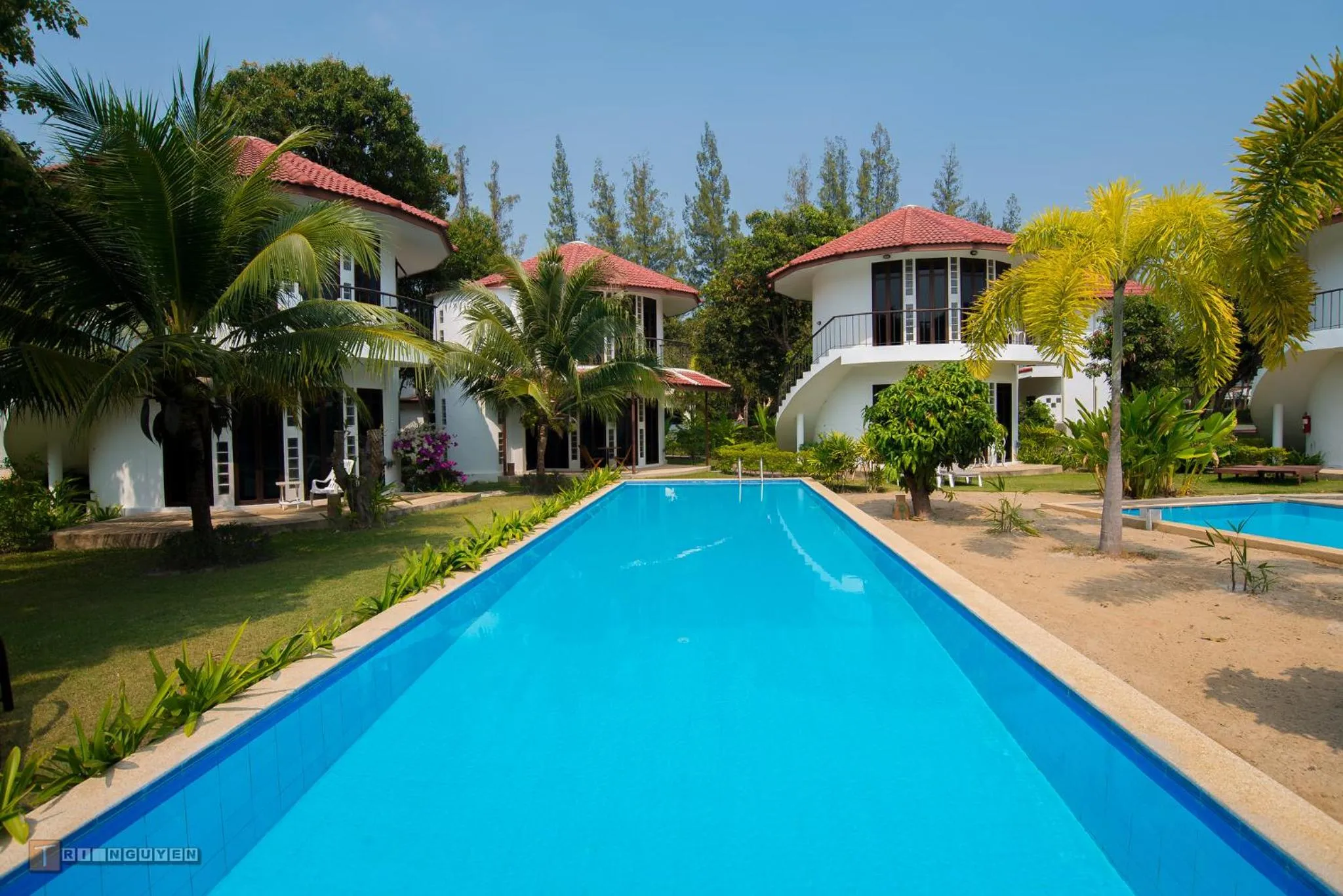 Swimming pool in Mango Spa & Resort