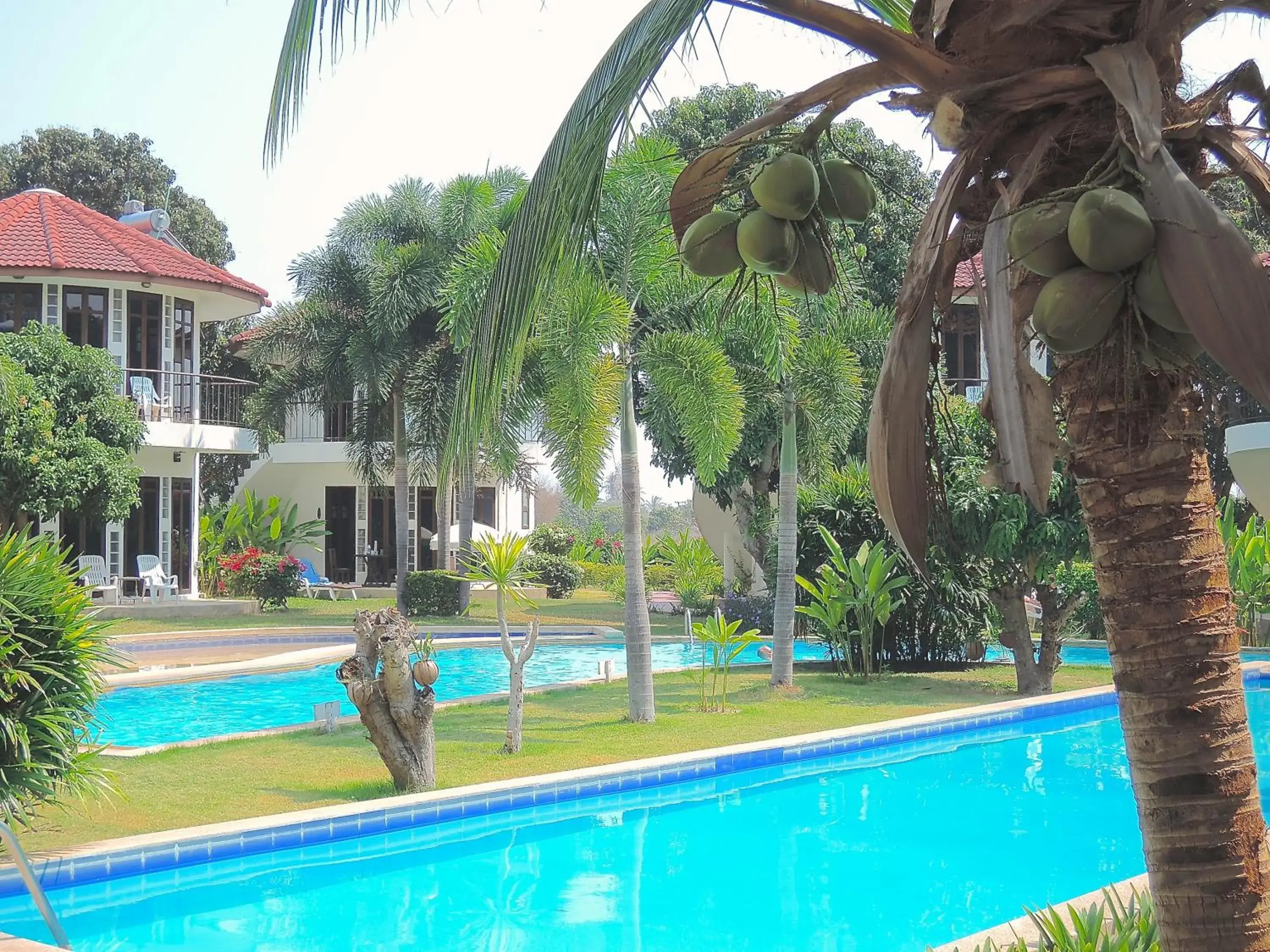 Pool view in Mango Spa & Resort Pool view in Mango Spa & Resort