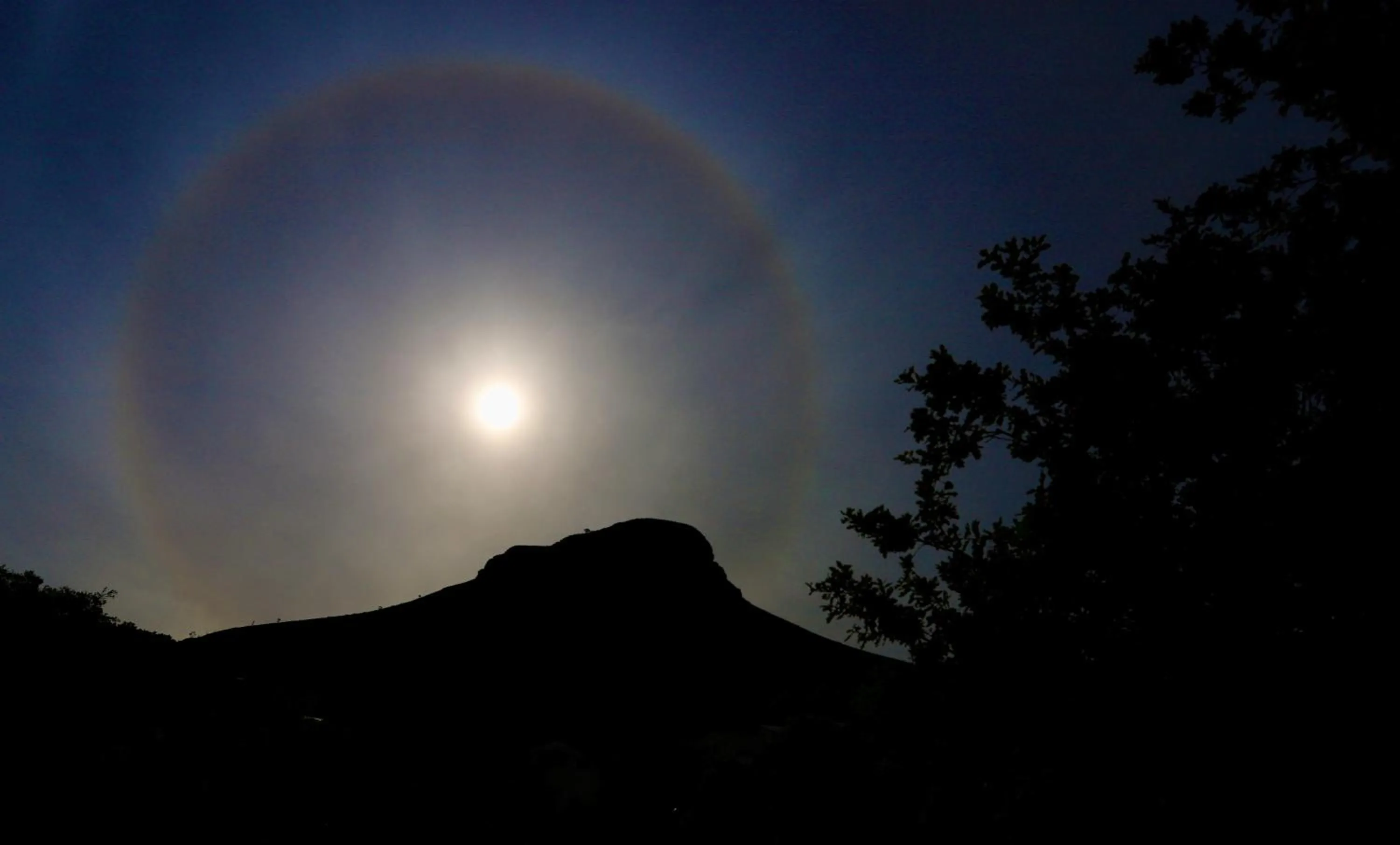 Balcony/Terrace in Rosedene Guest House