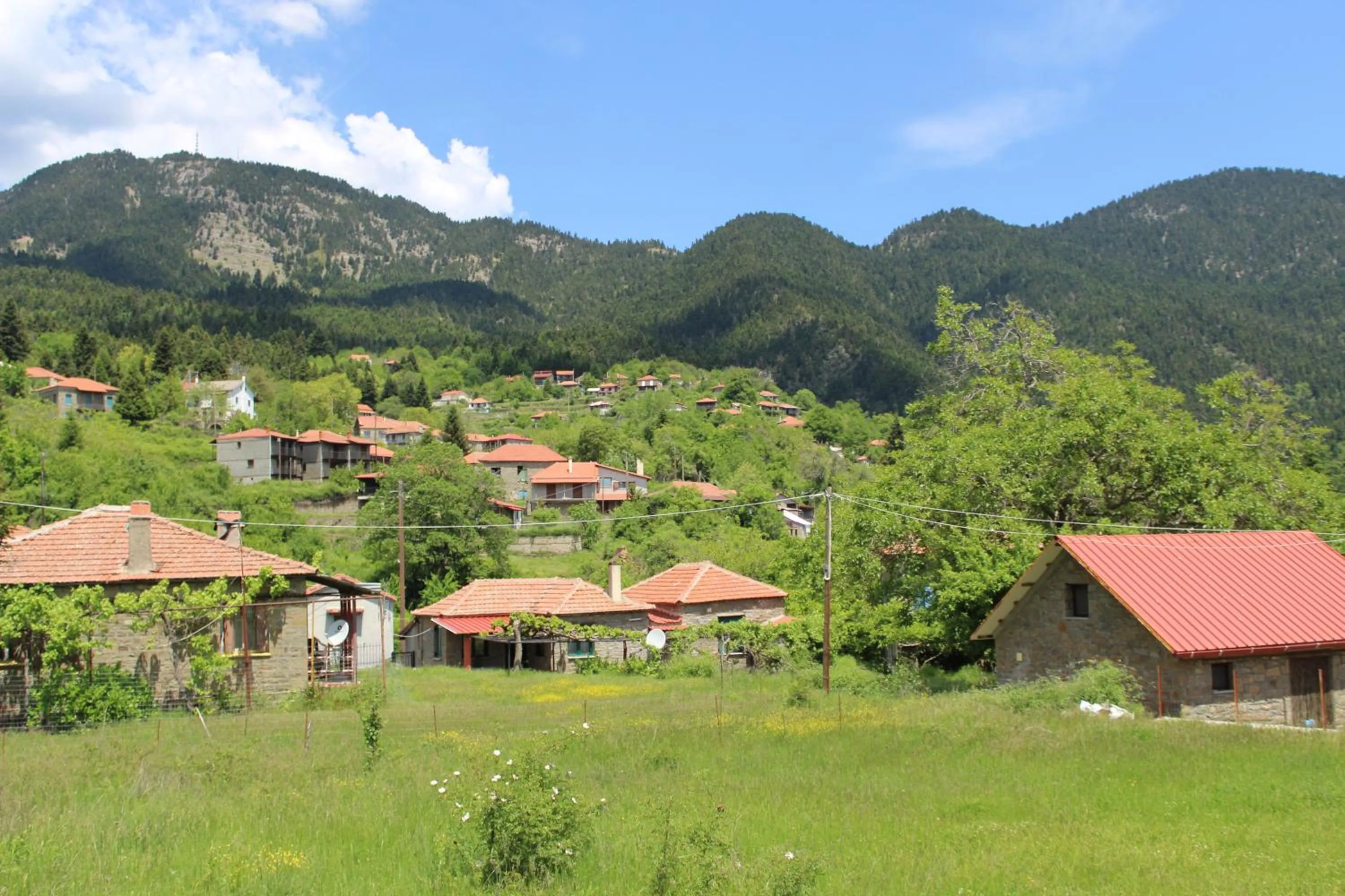 Elatou