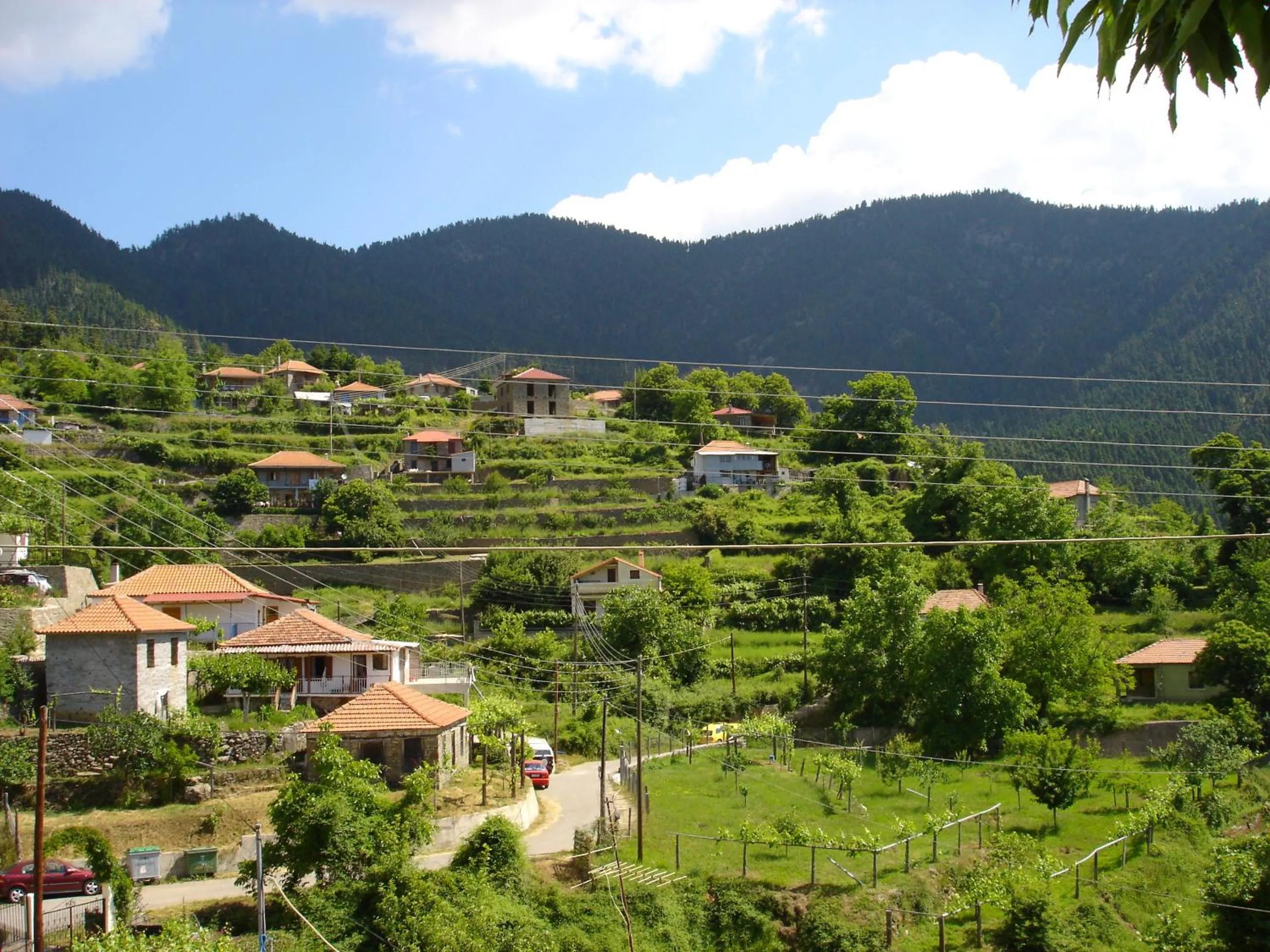 Other in Elatou