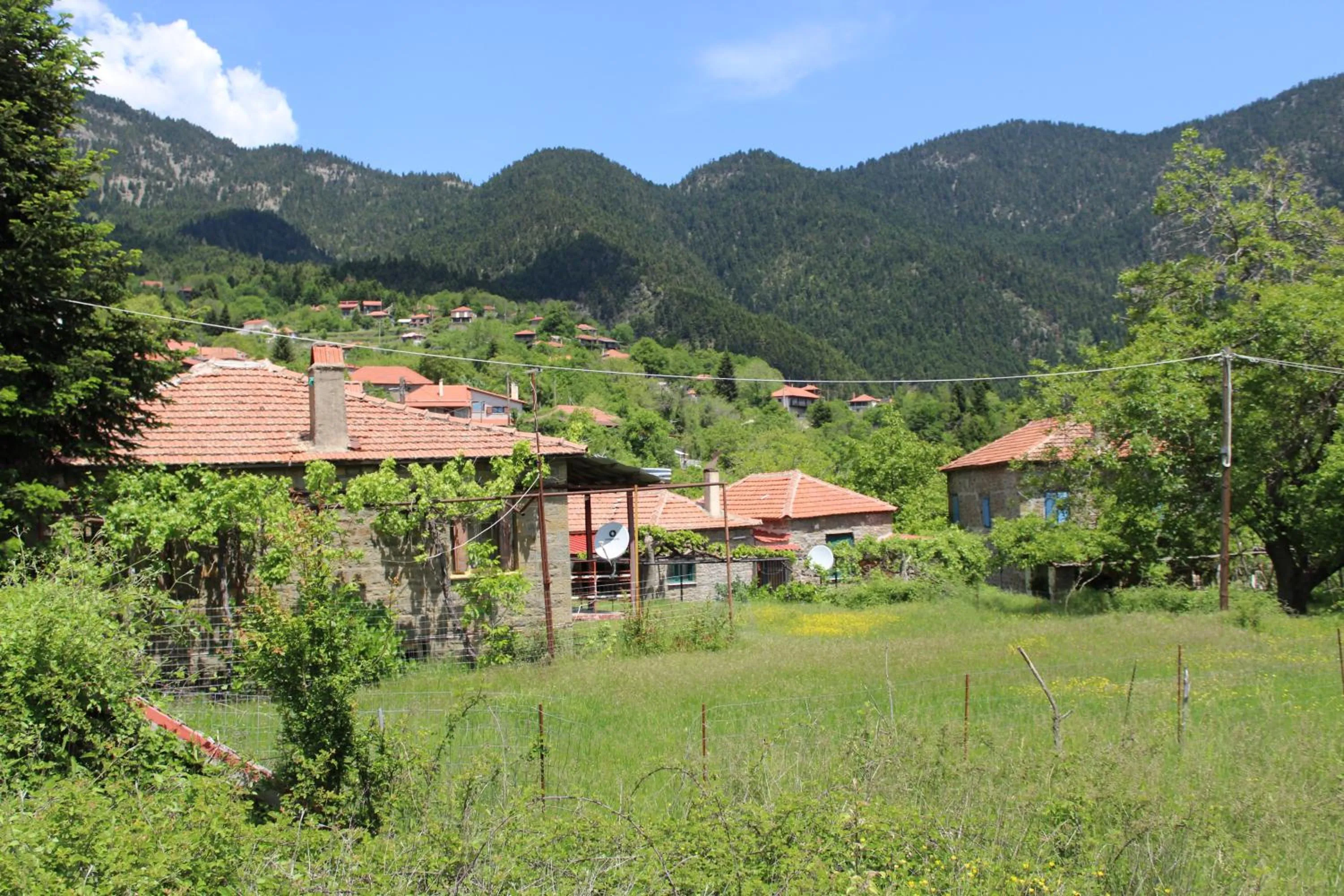 Elatou