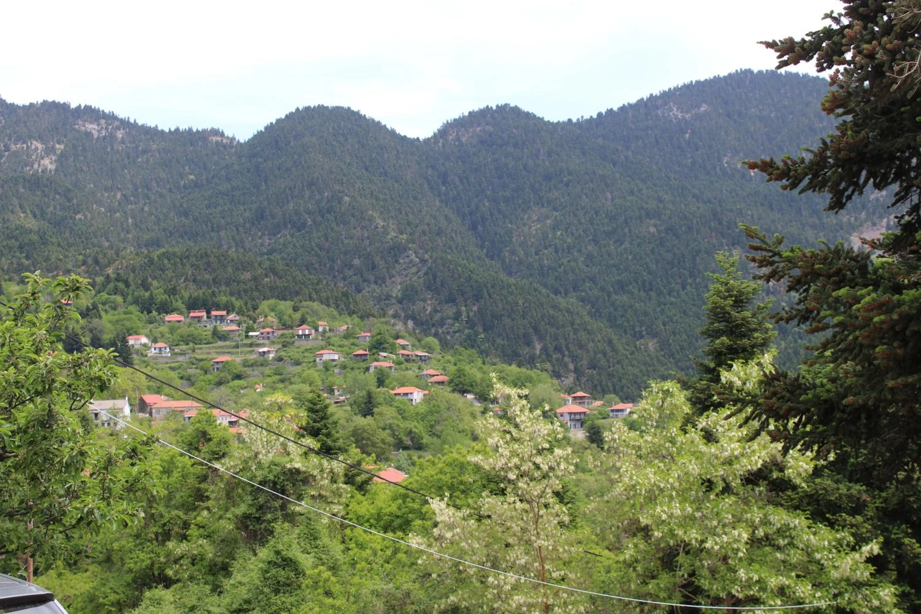 Elatou