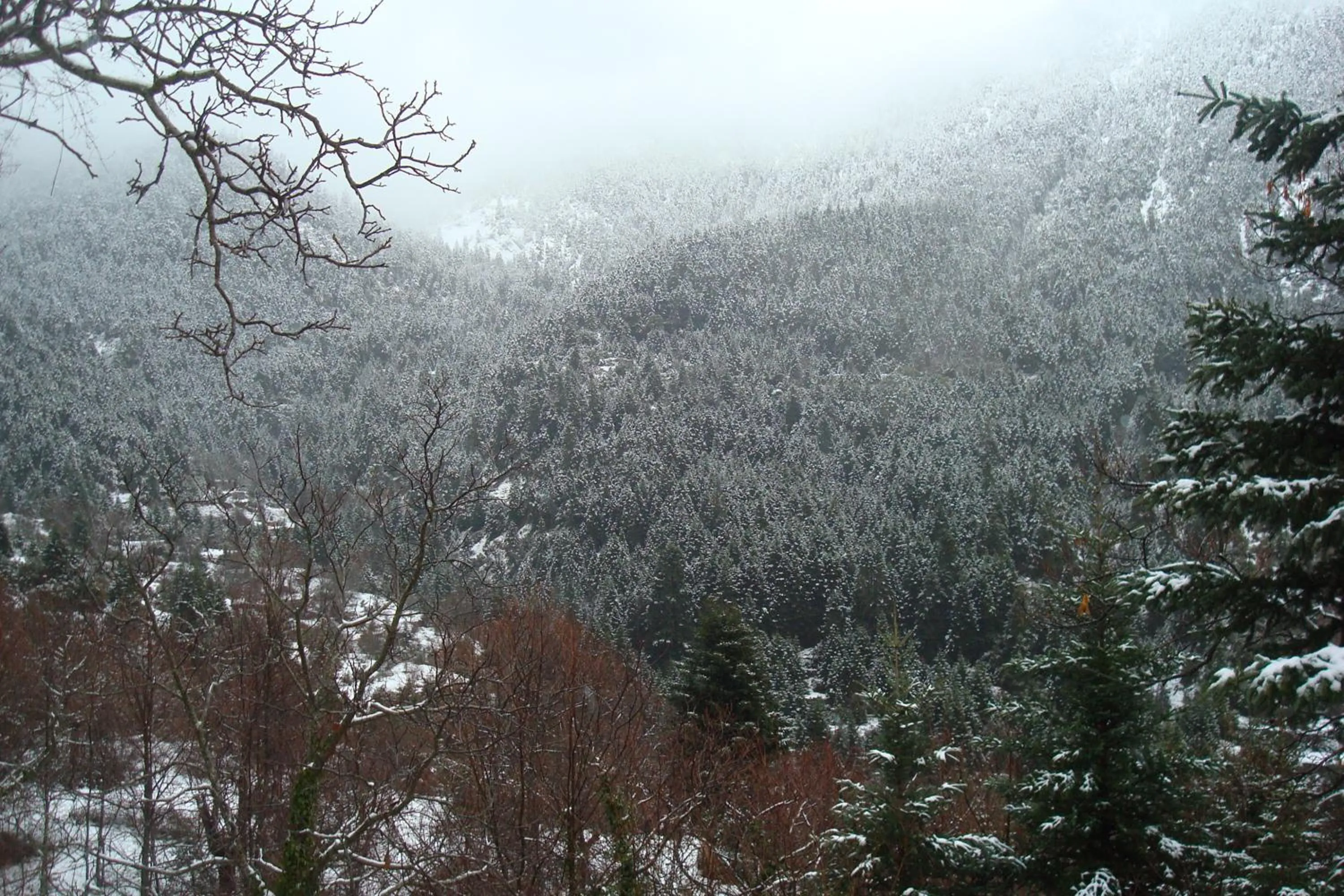 Mountain view in Elatou