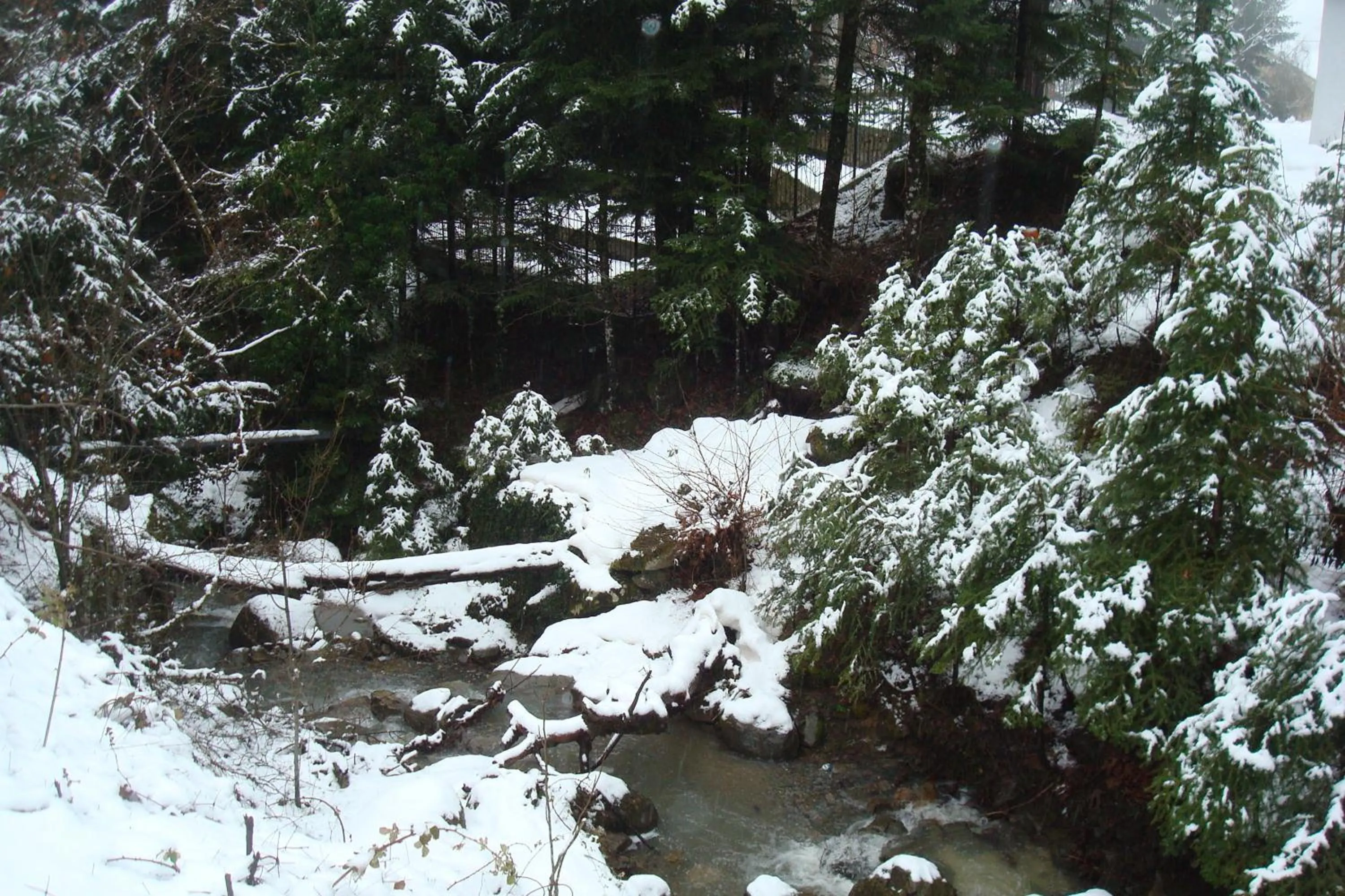 Hiking in Elatou