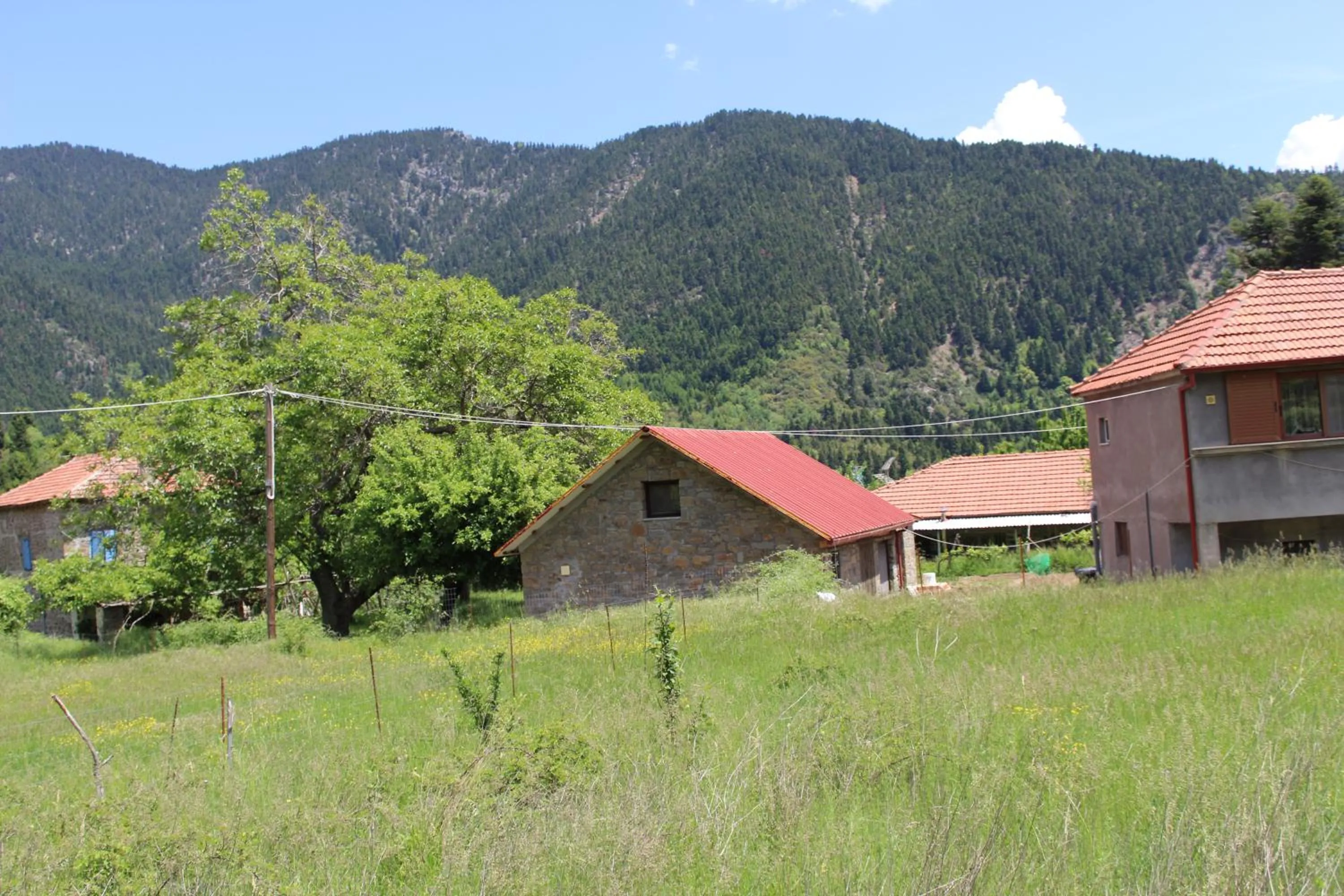 Elatou