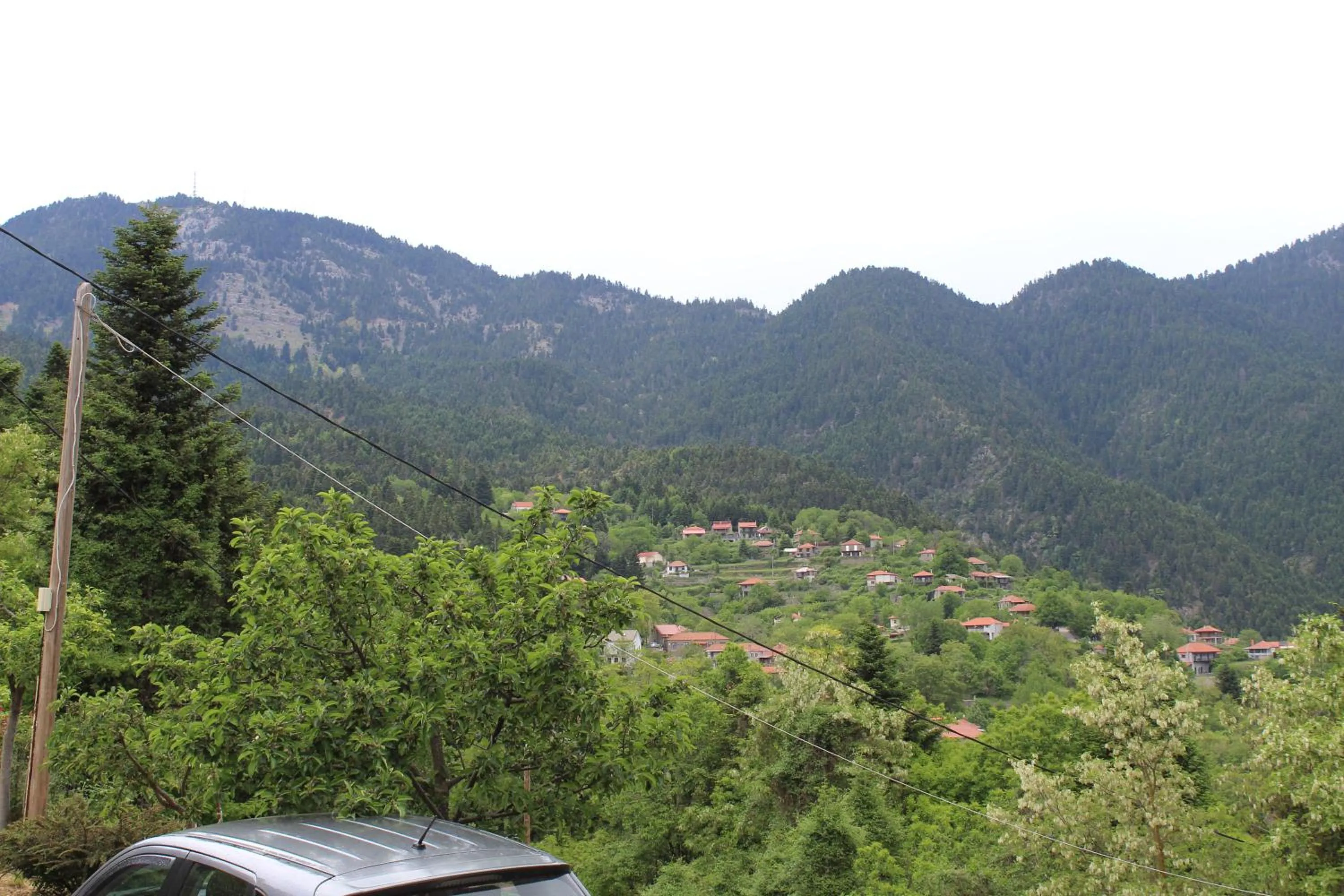 Elatou