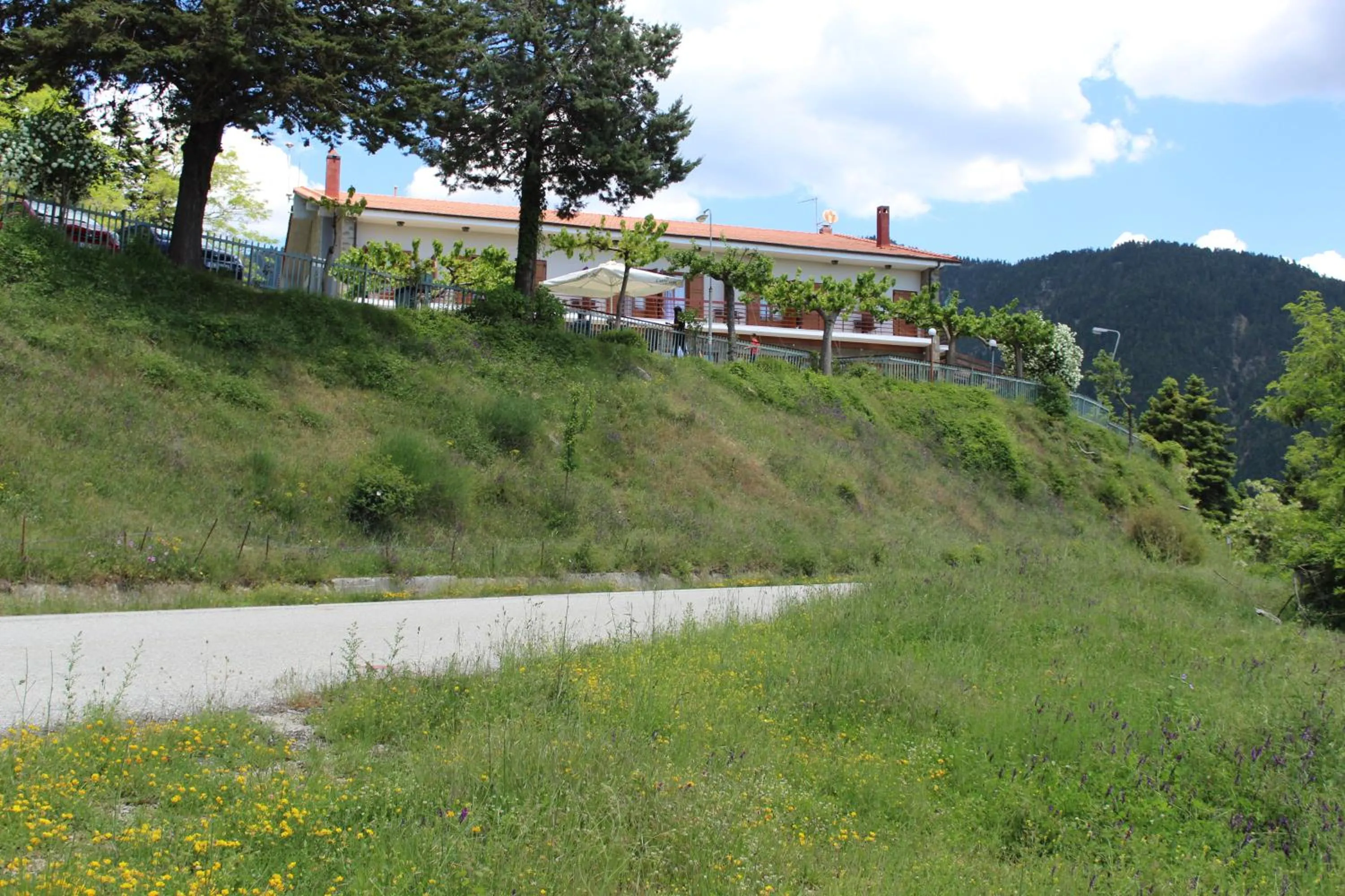 Elatou
