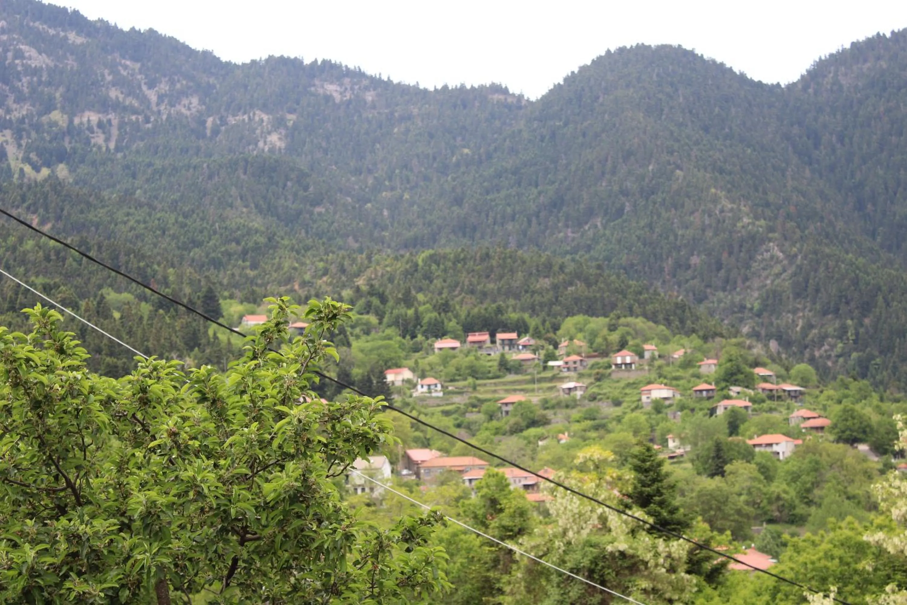 Elatou