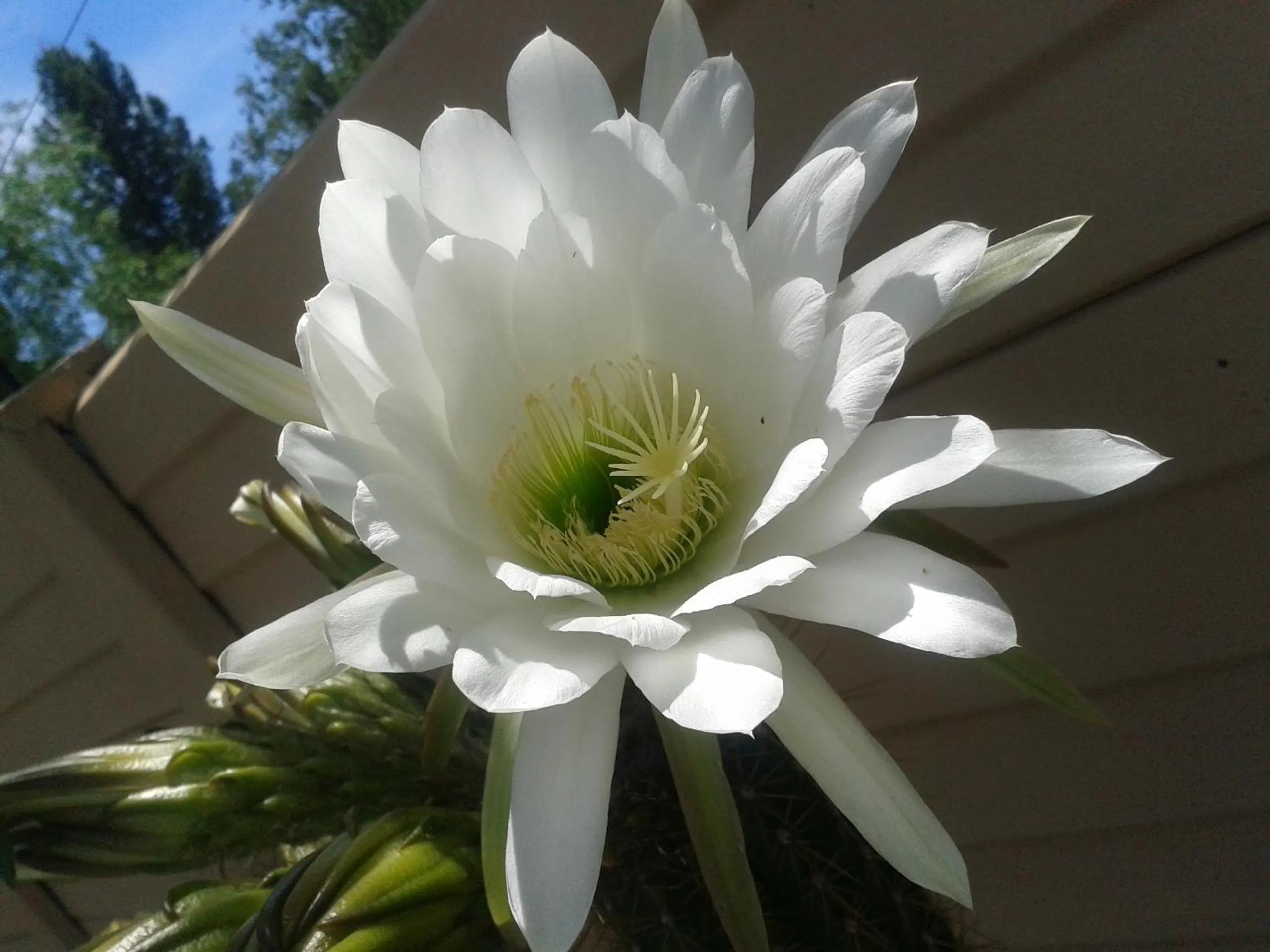 Spring in Potties Guesthouse