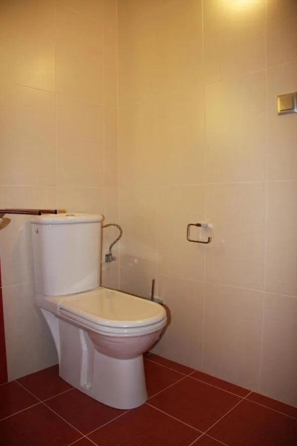 Toilet in Art Hotel Podebrady