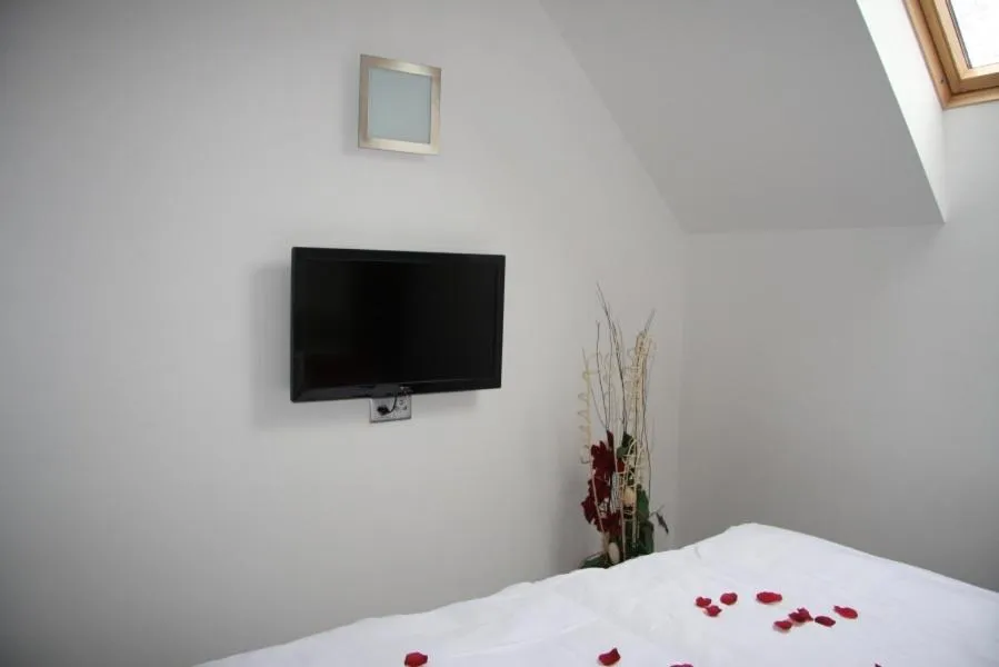 TV and multimedia, Bed in Art Hotel Podebrady