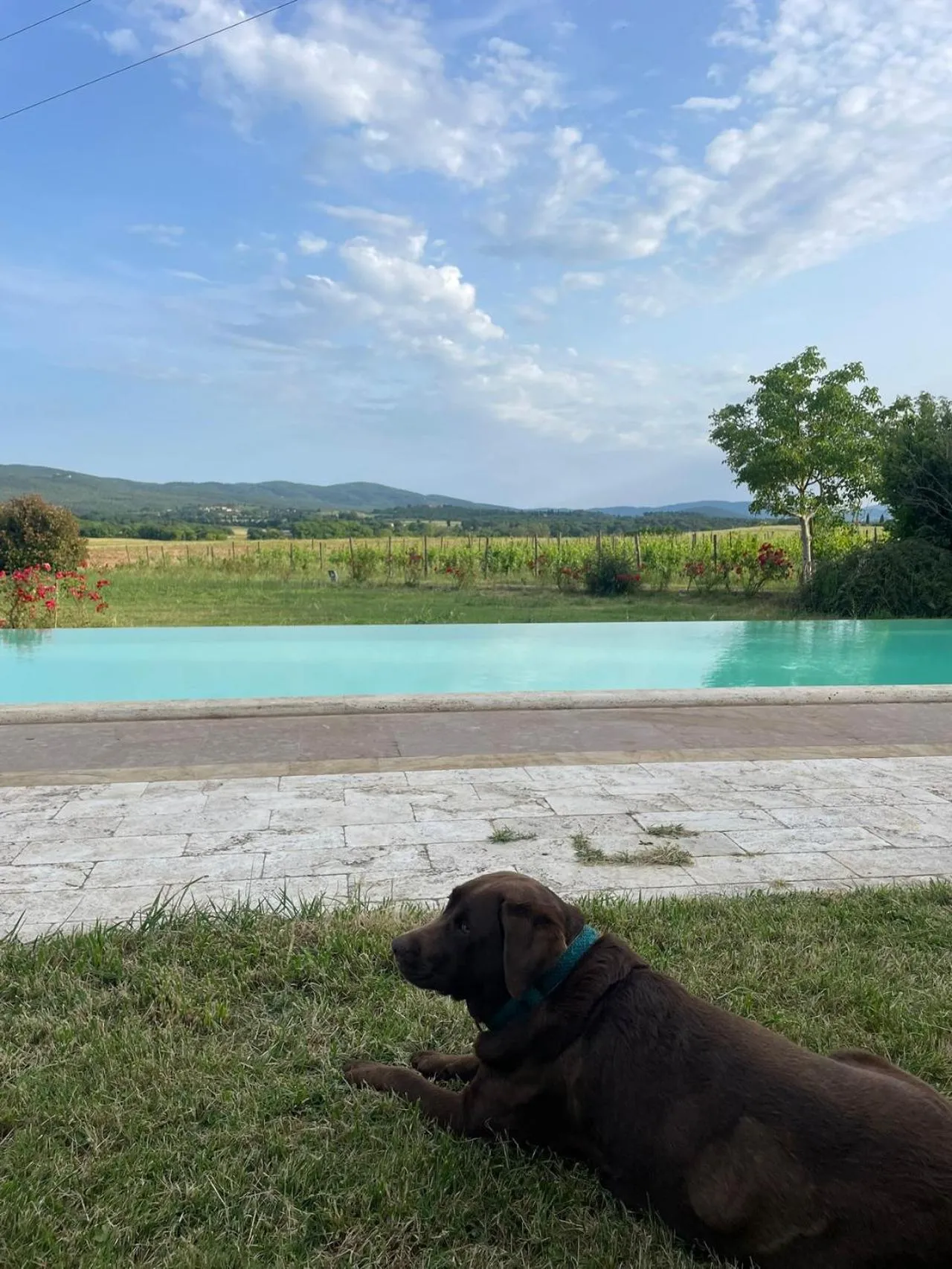 Agriturismo La Segolina