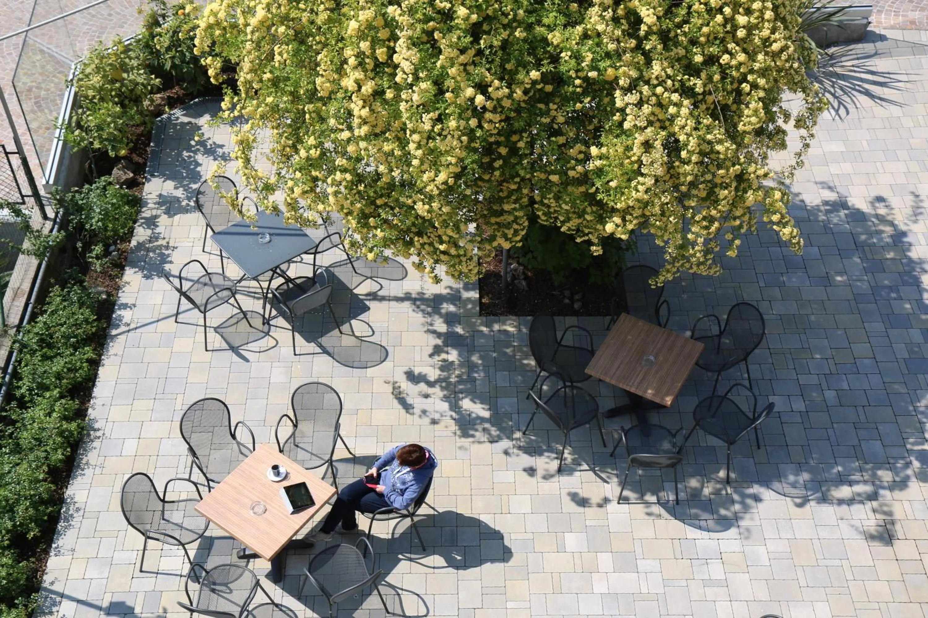 Garden in Hotel Villa Clara