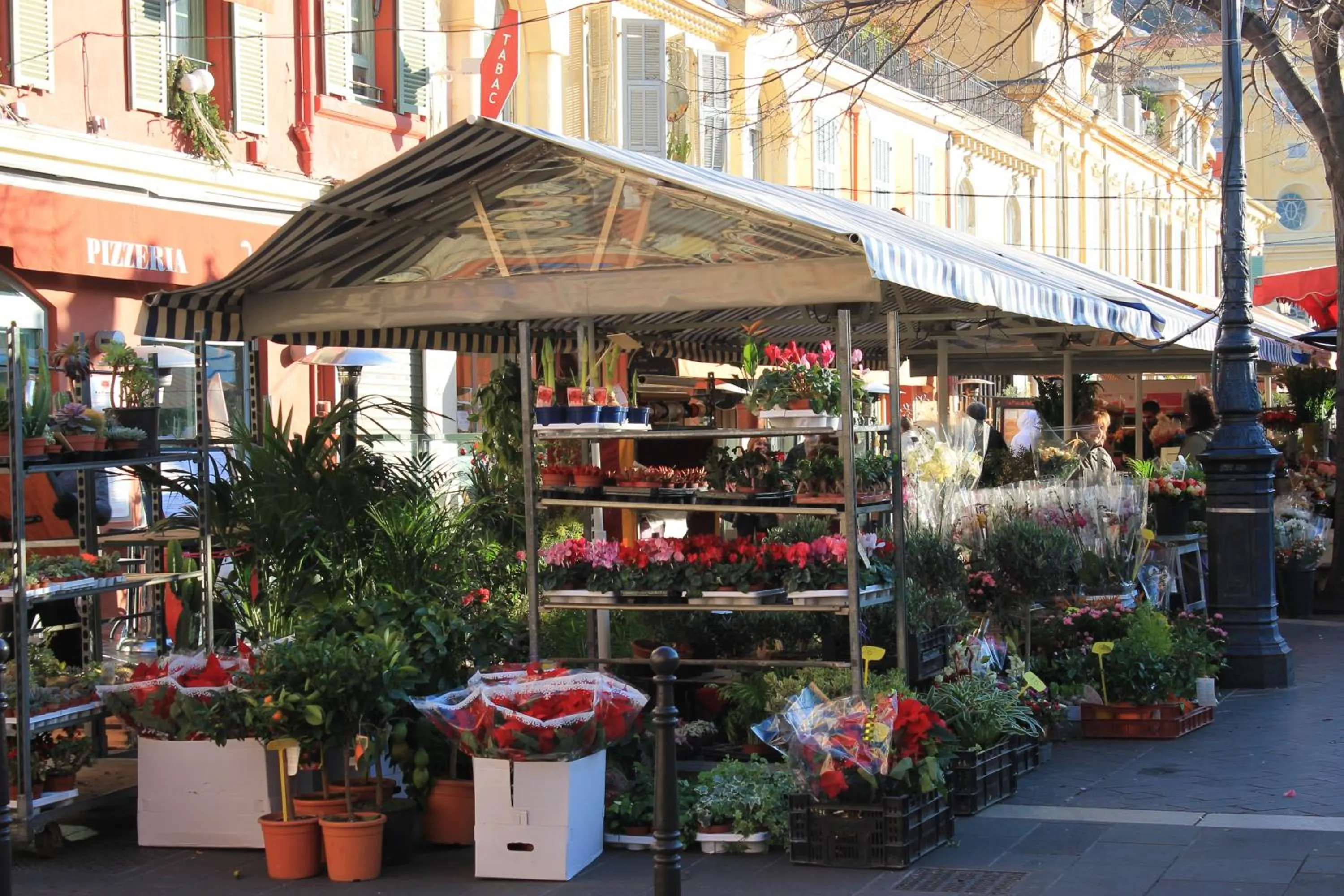 Area and facilities in Room with a vue