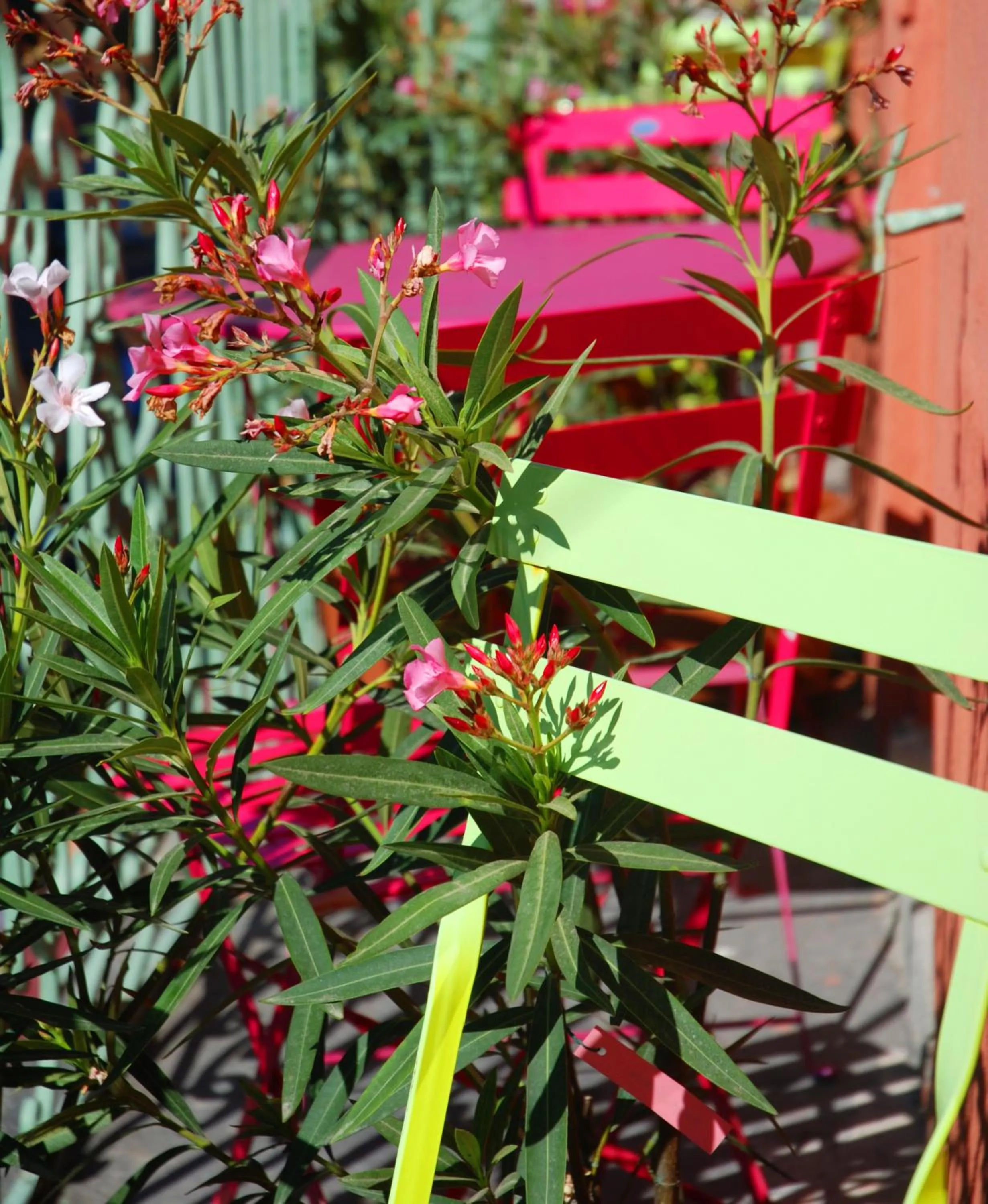 Decorative detail in Room with a vue