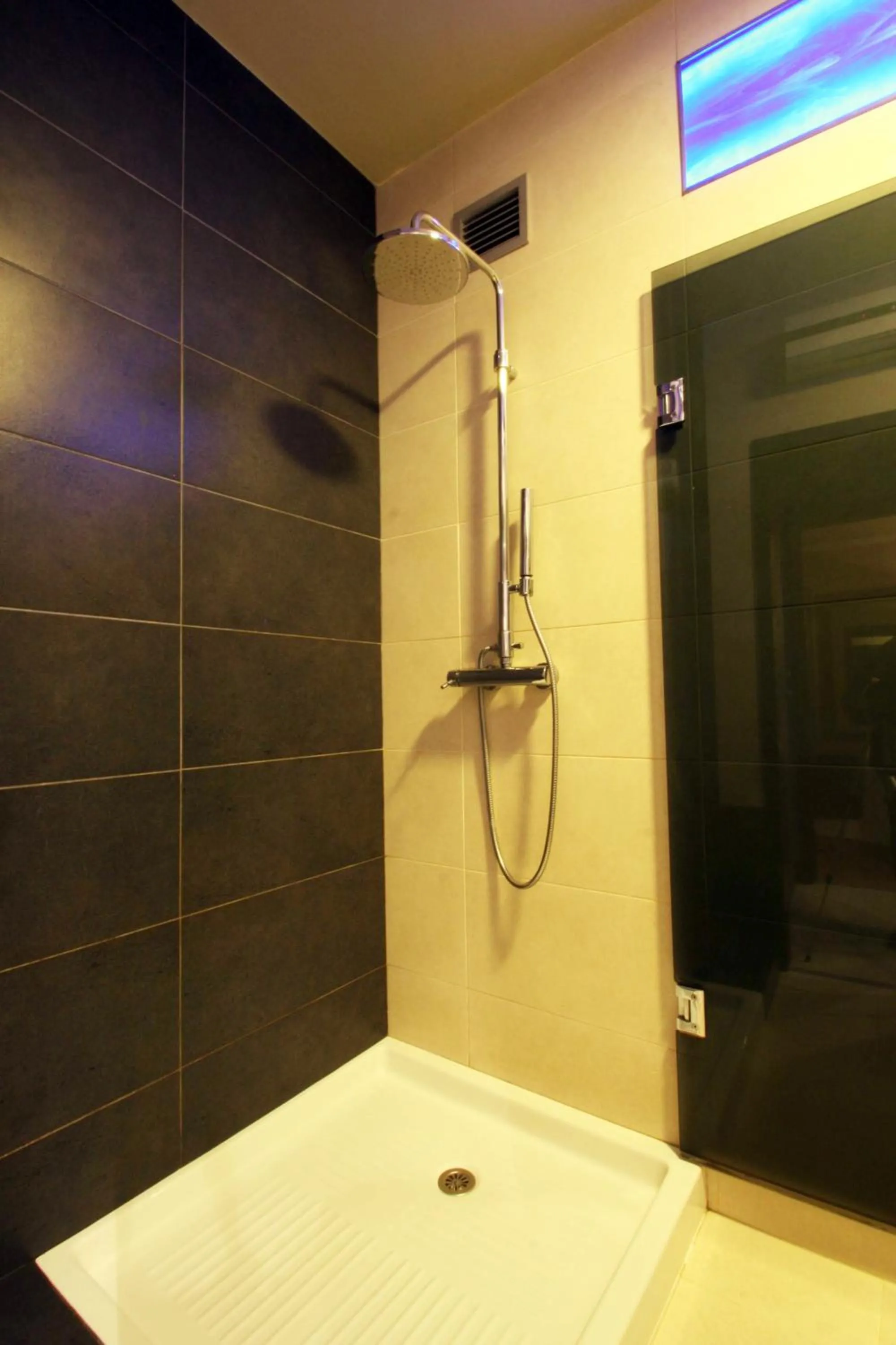 Shower in Motel Tropicana