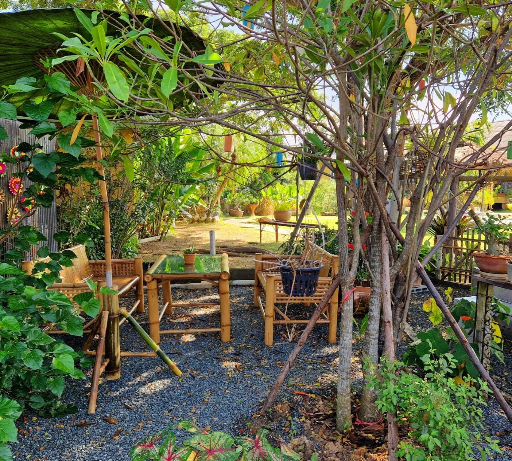 Garden in Phoo Na Resort