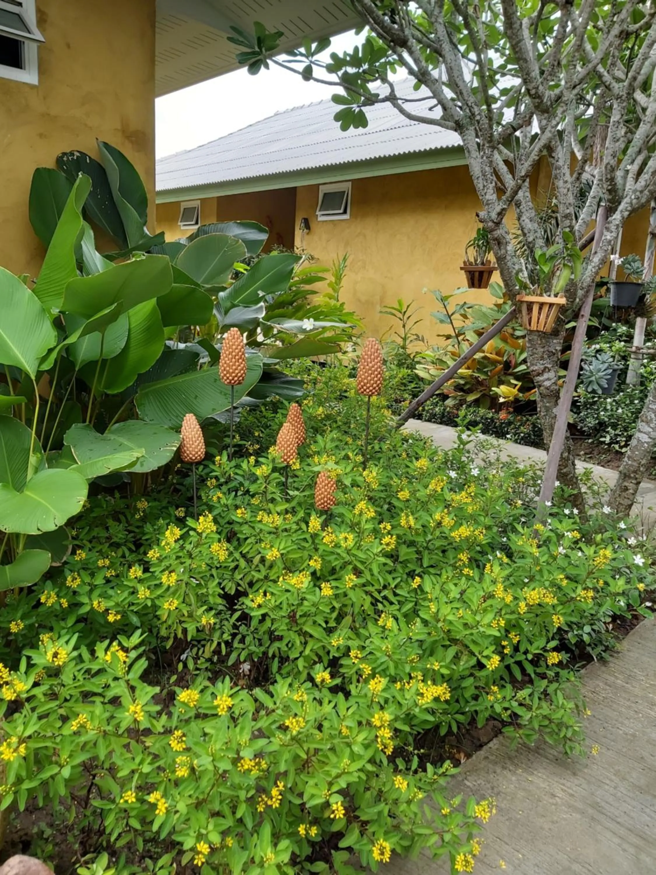 Phoo Na Resort