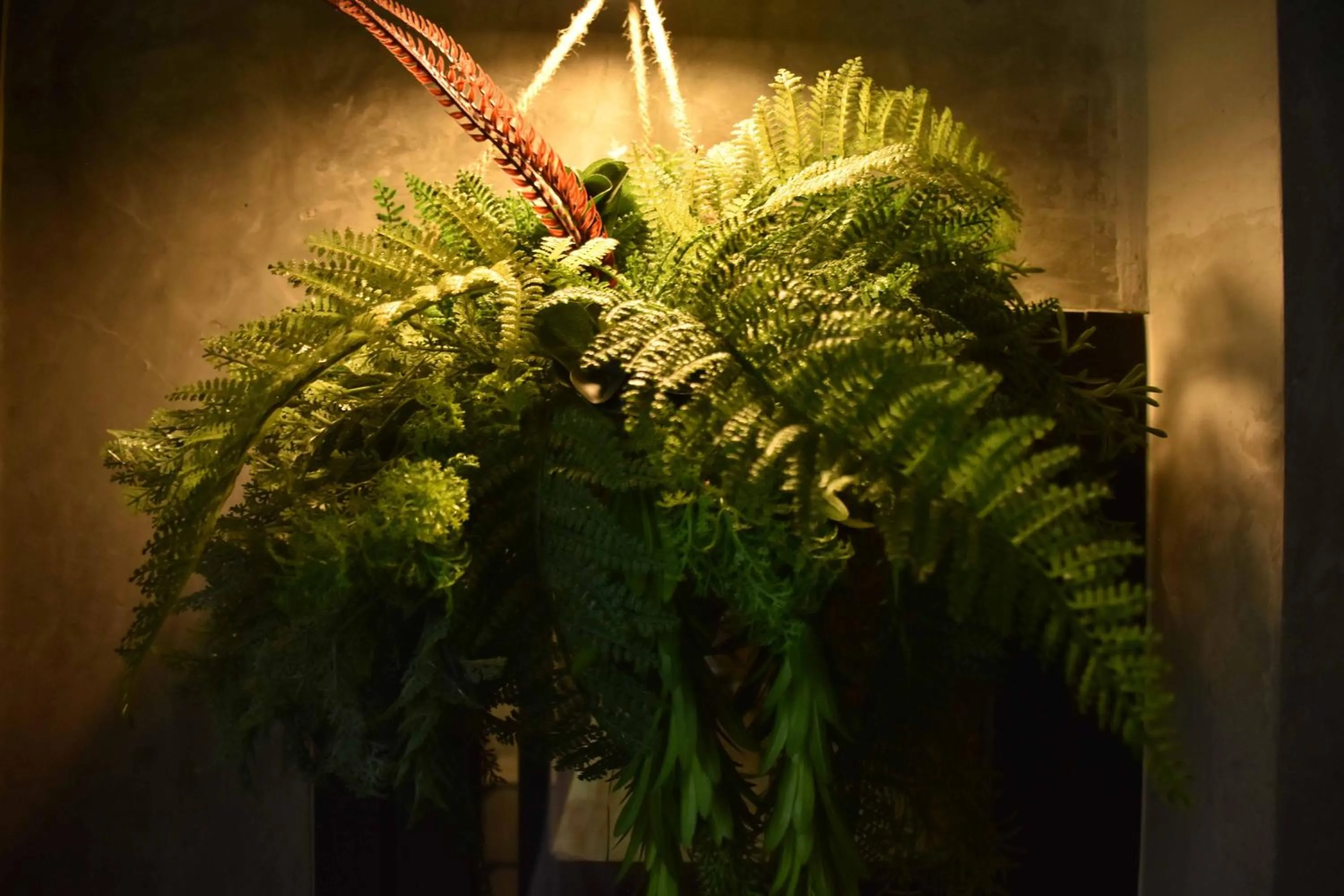 Garden in Momento Bangtao Beach