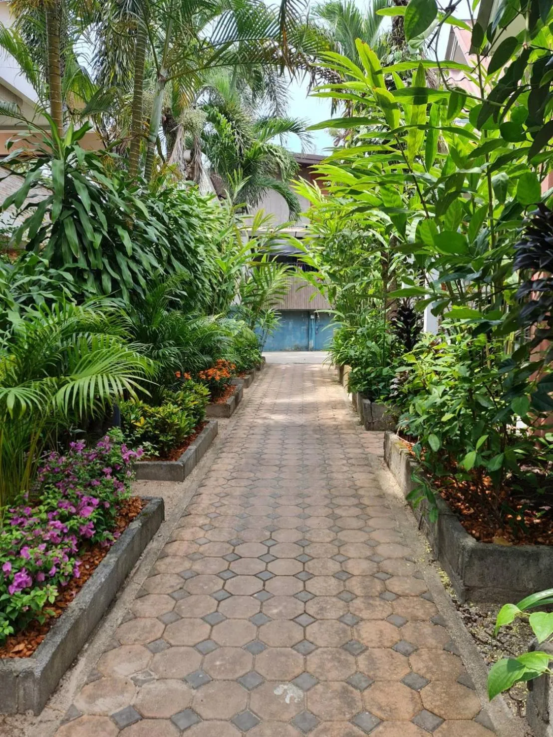 Garden in Momento Bangtao Beach