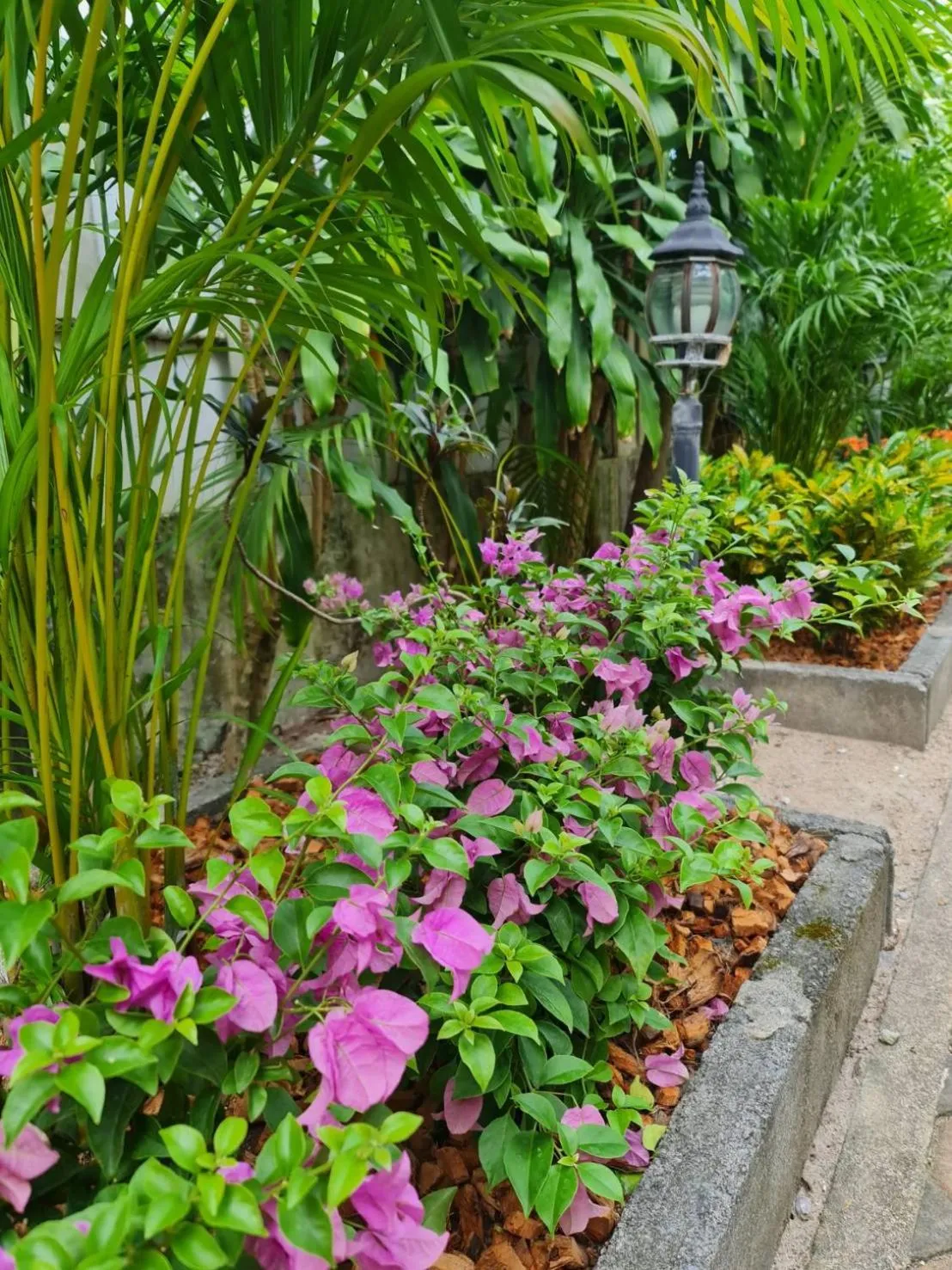 Garden in Momento Bangtao Beach