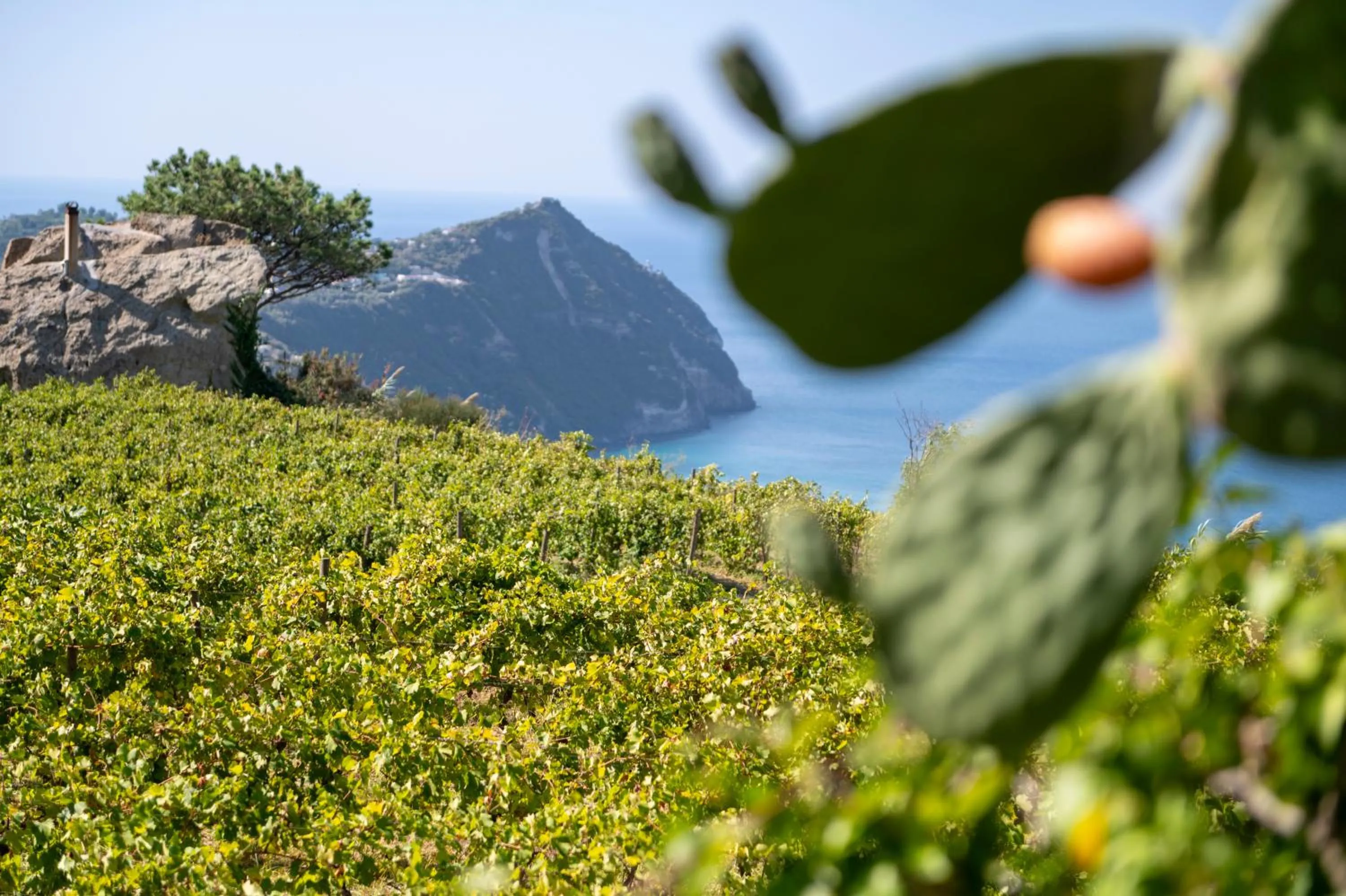 Nearby landmark in Punta Chiarito Resort