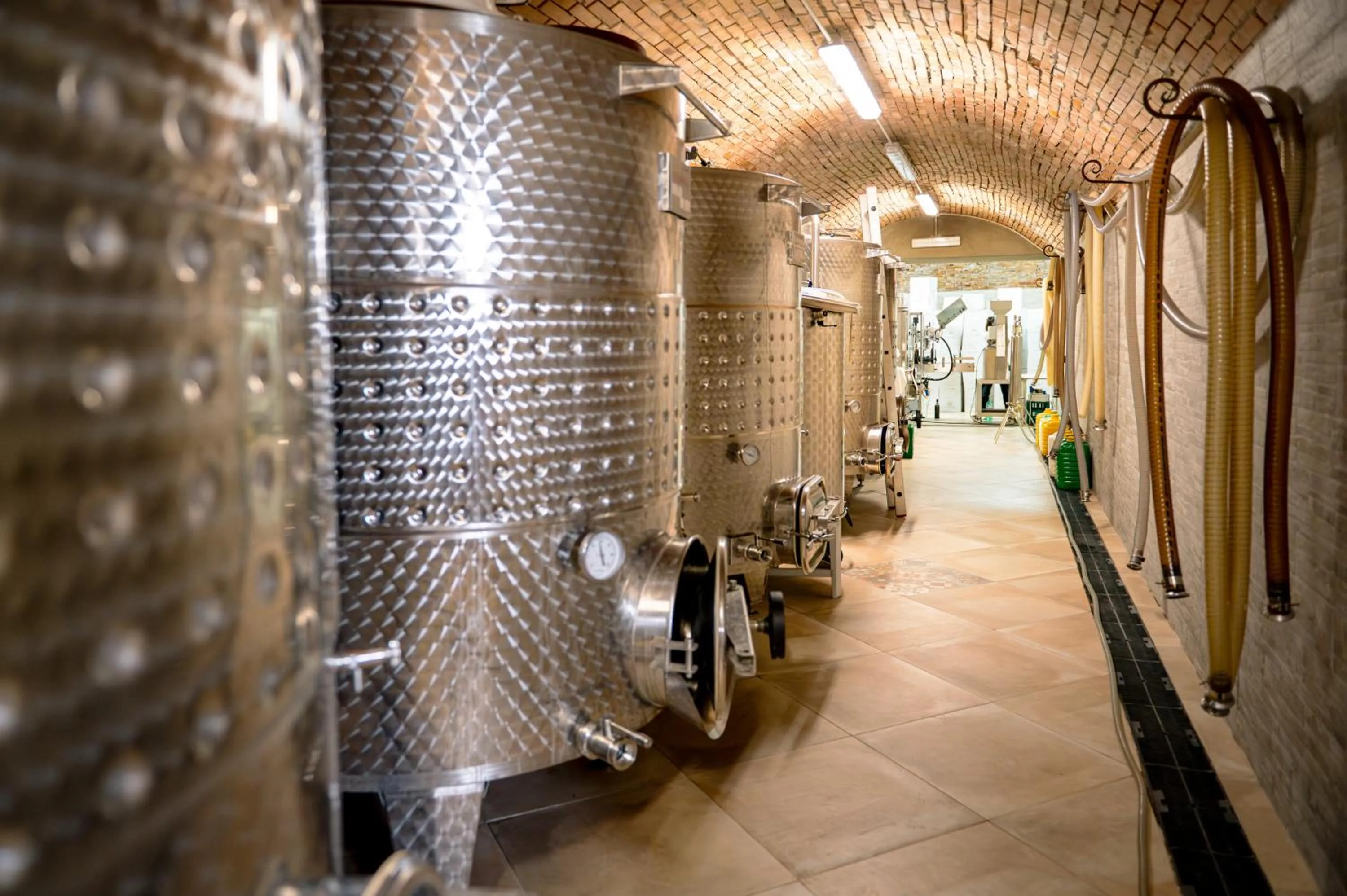 Drinks in Punta Chiarito Resort