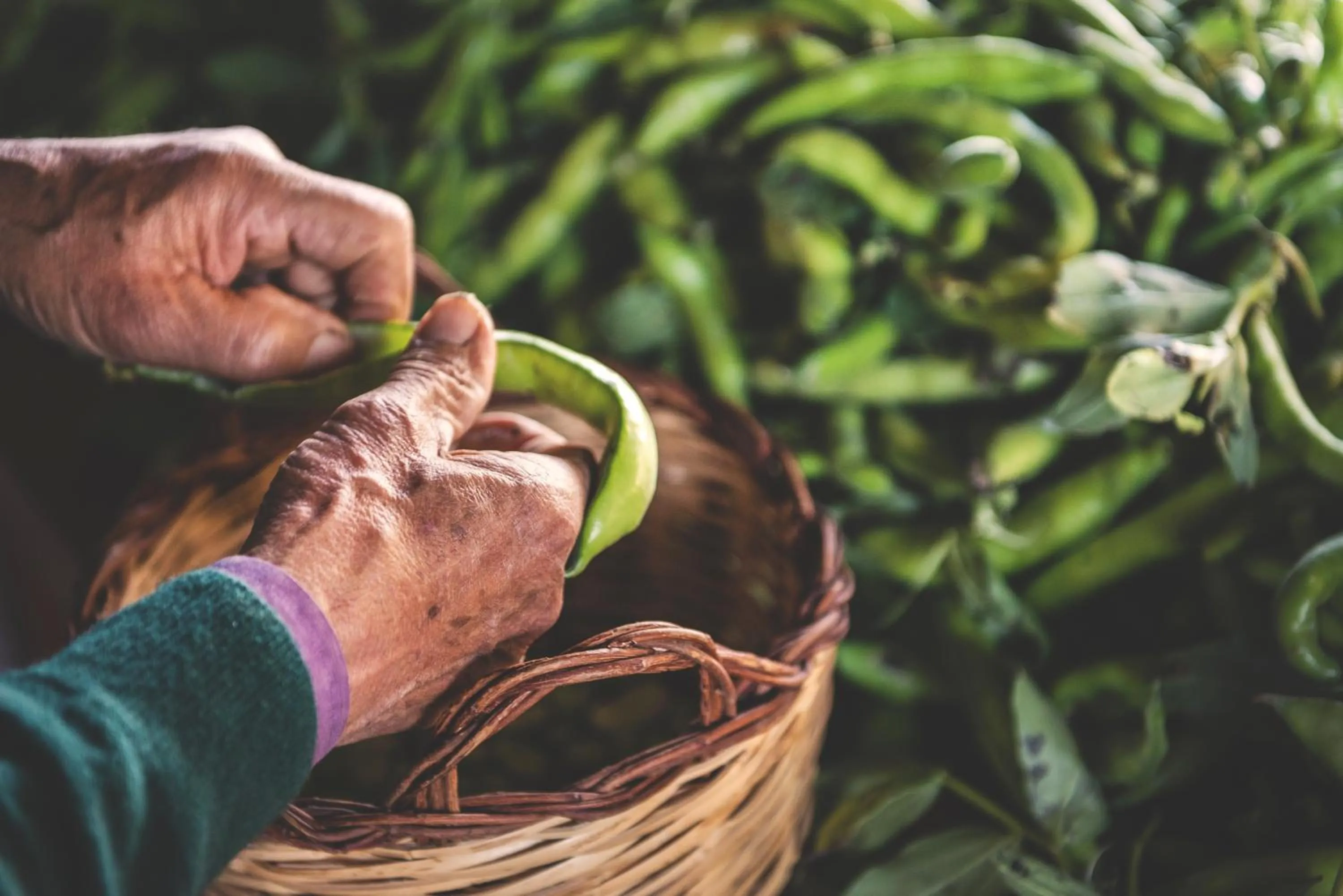 People in Punta Chiarito Resort