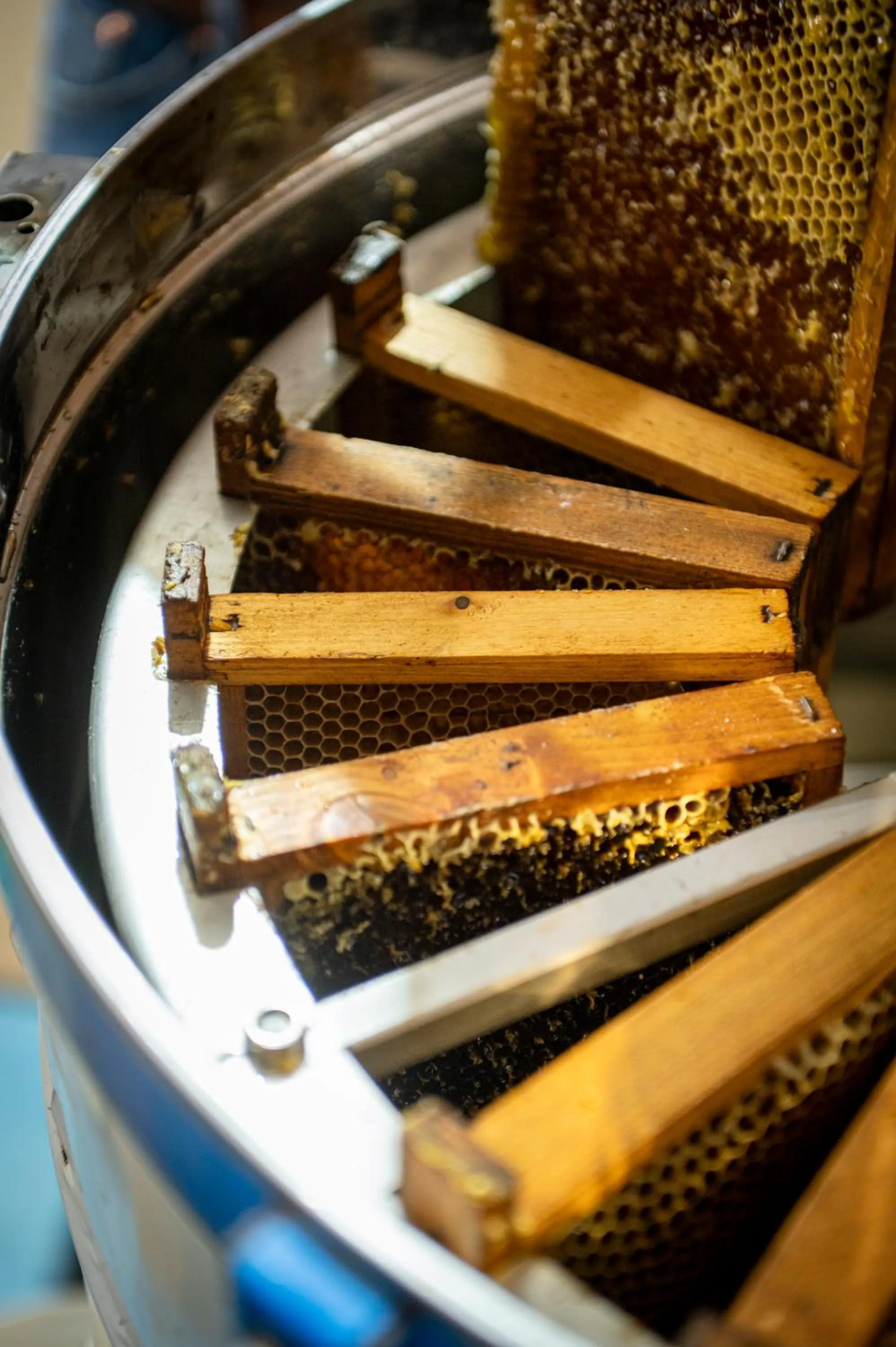 Breakfast in Punta Chiarito Resort