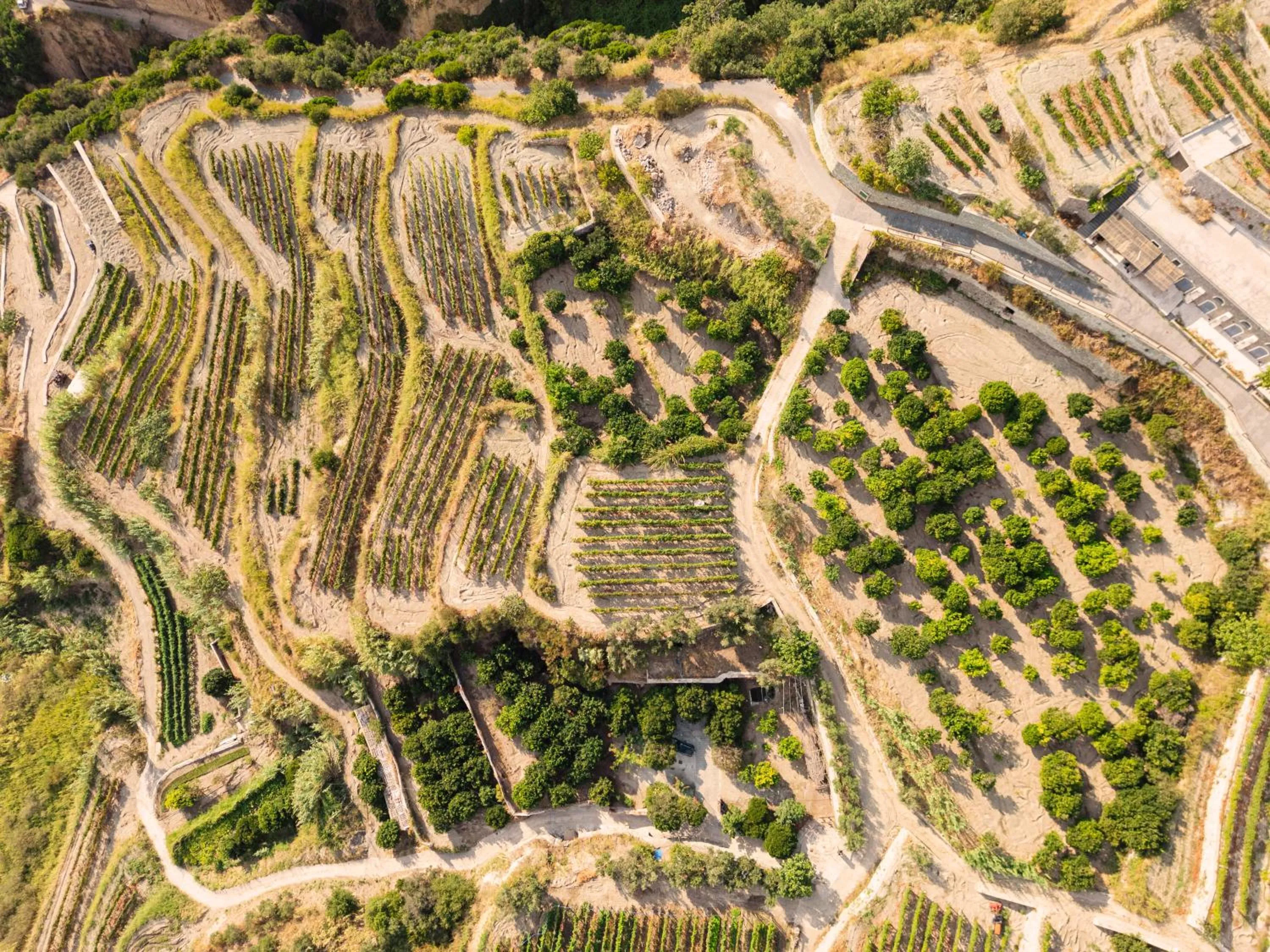 Natural landscape in Punta Chiarito Resort