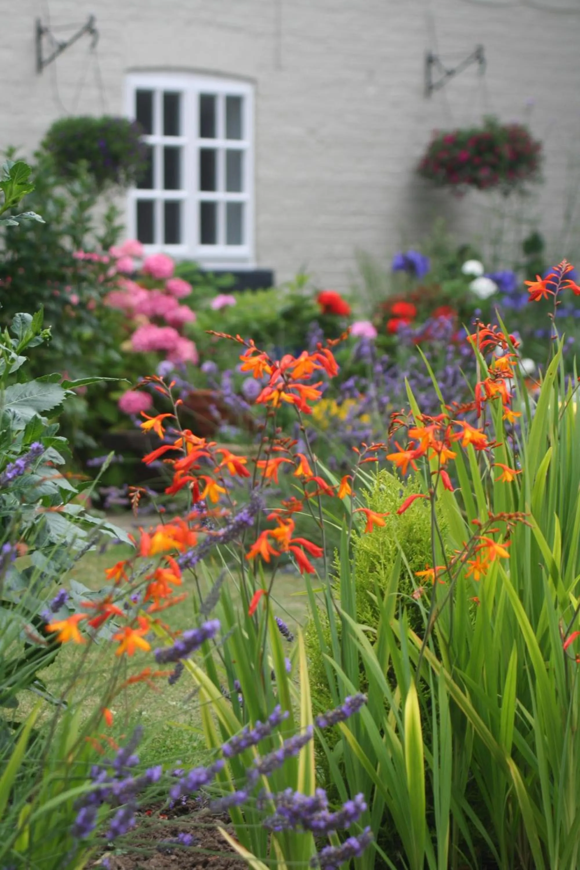 Garden in Hickman Hill Hotel