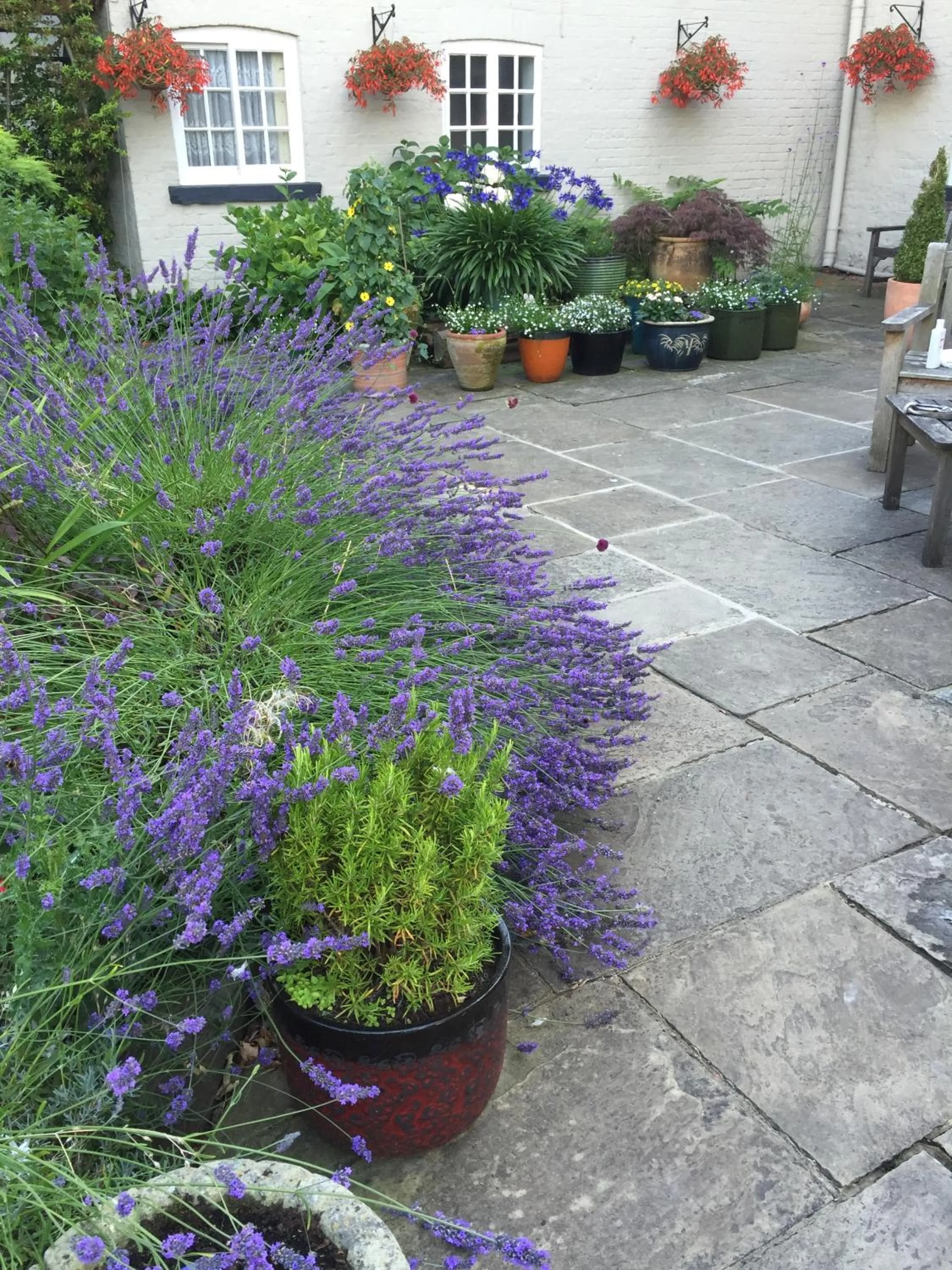 Patio in Hickman Hill Hotel