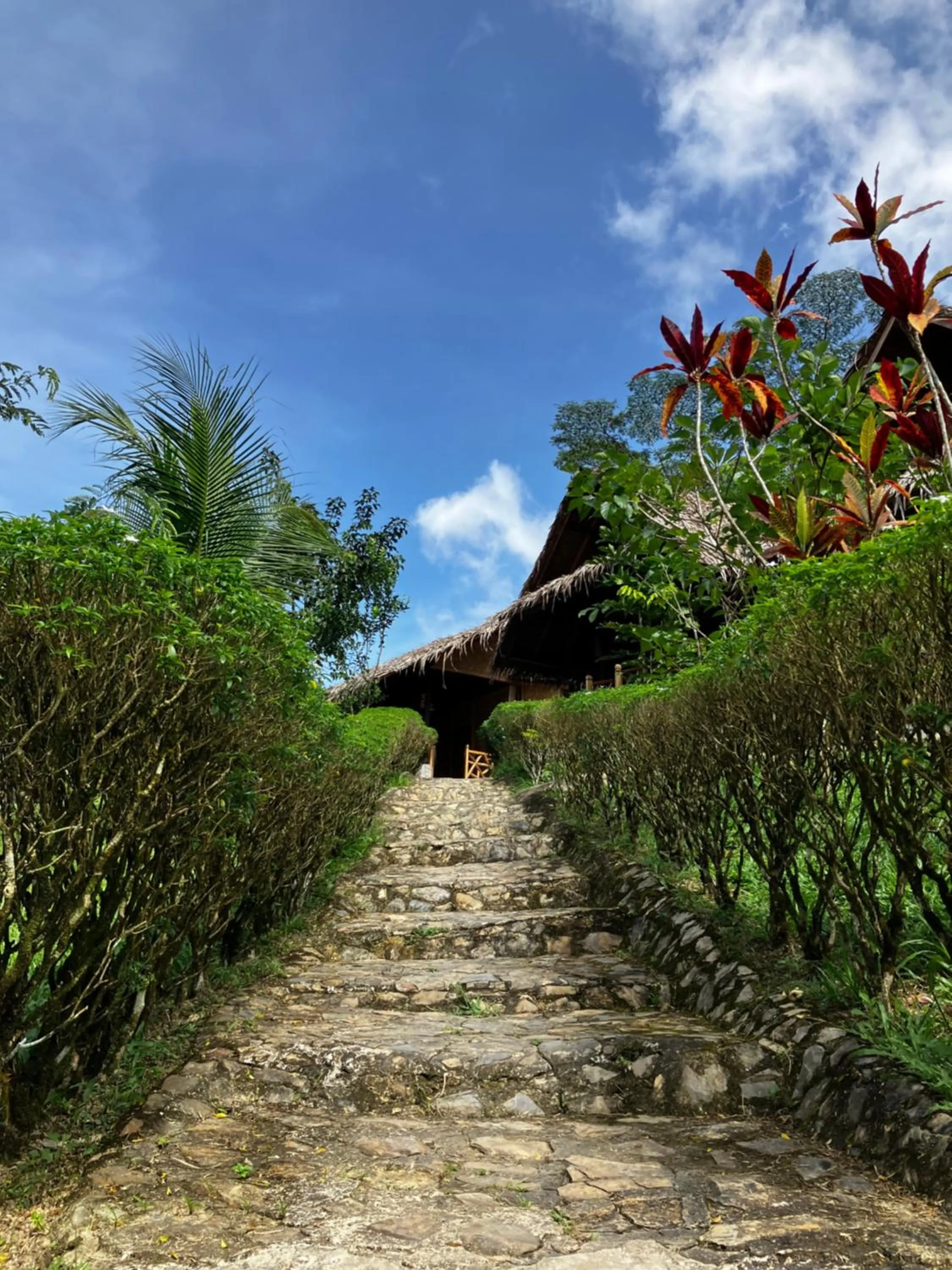 Garden in Backpacker's Hill Resort