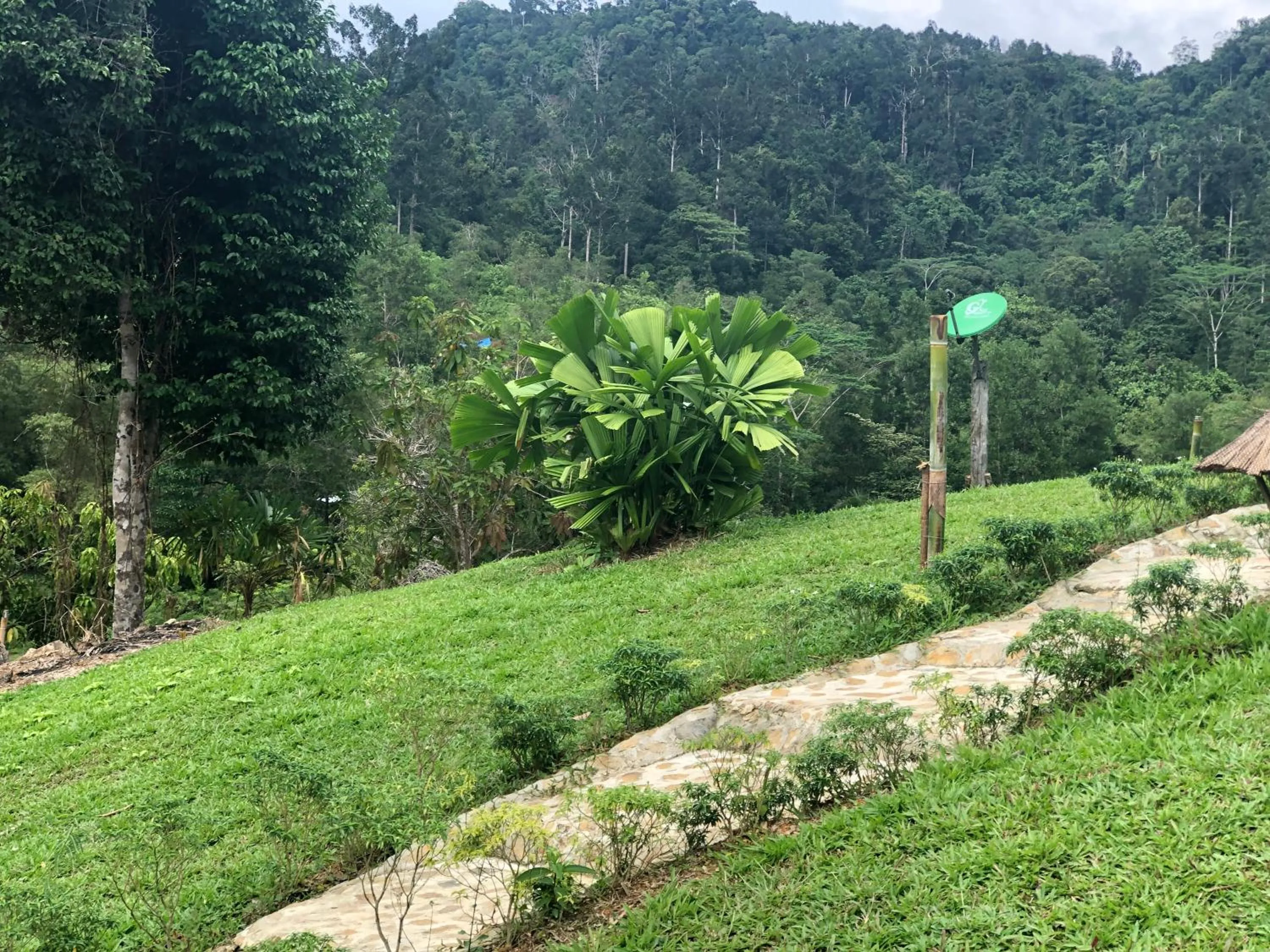 Garden view in Backpacker's Hill Resort