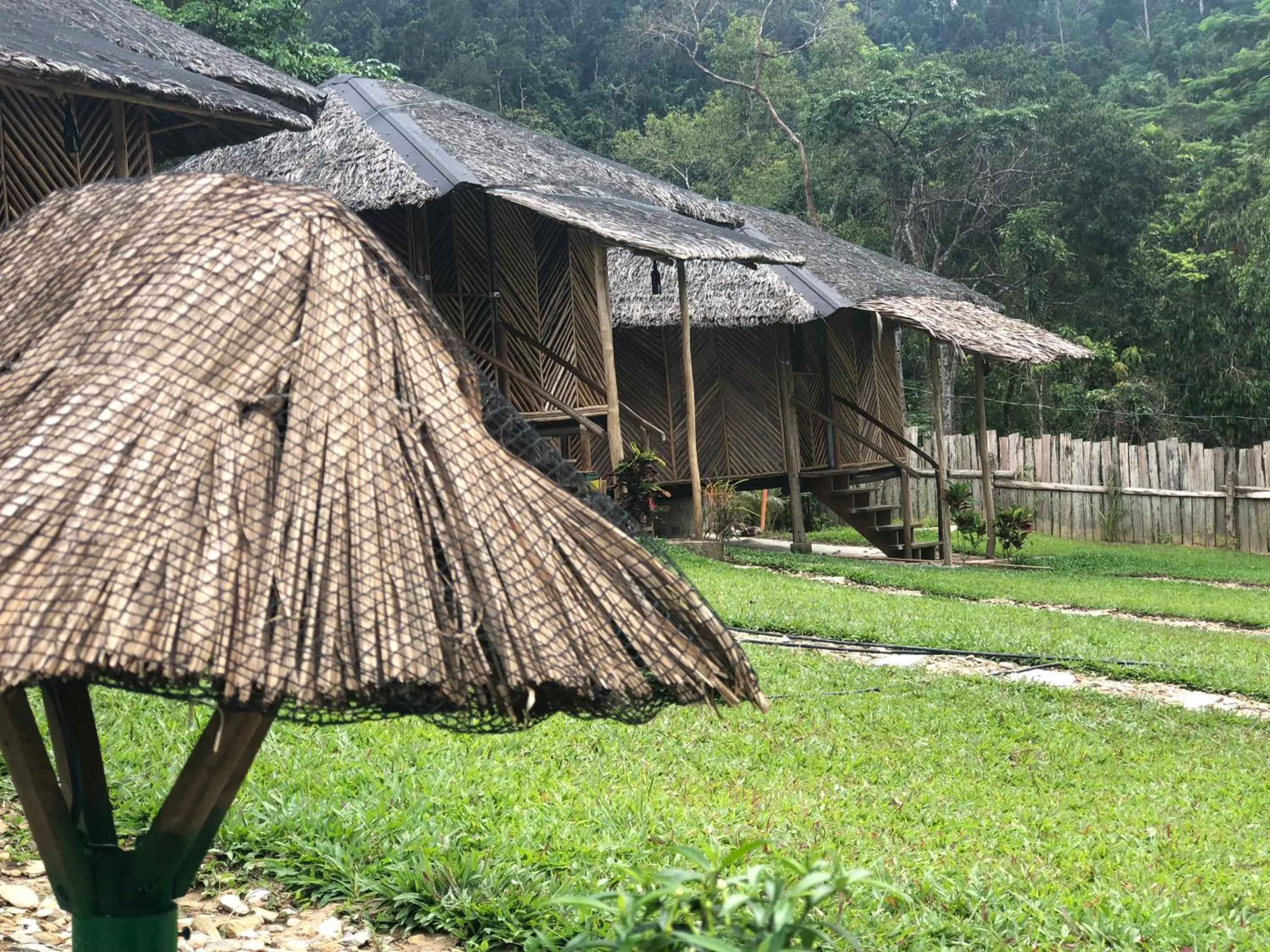 Garden in Backpacker's Hill Resort