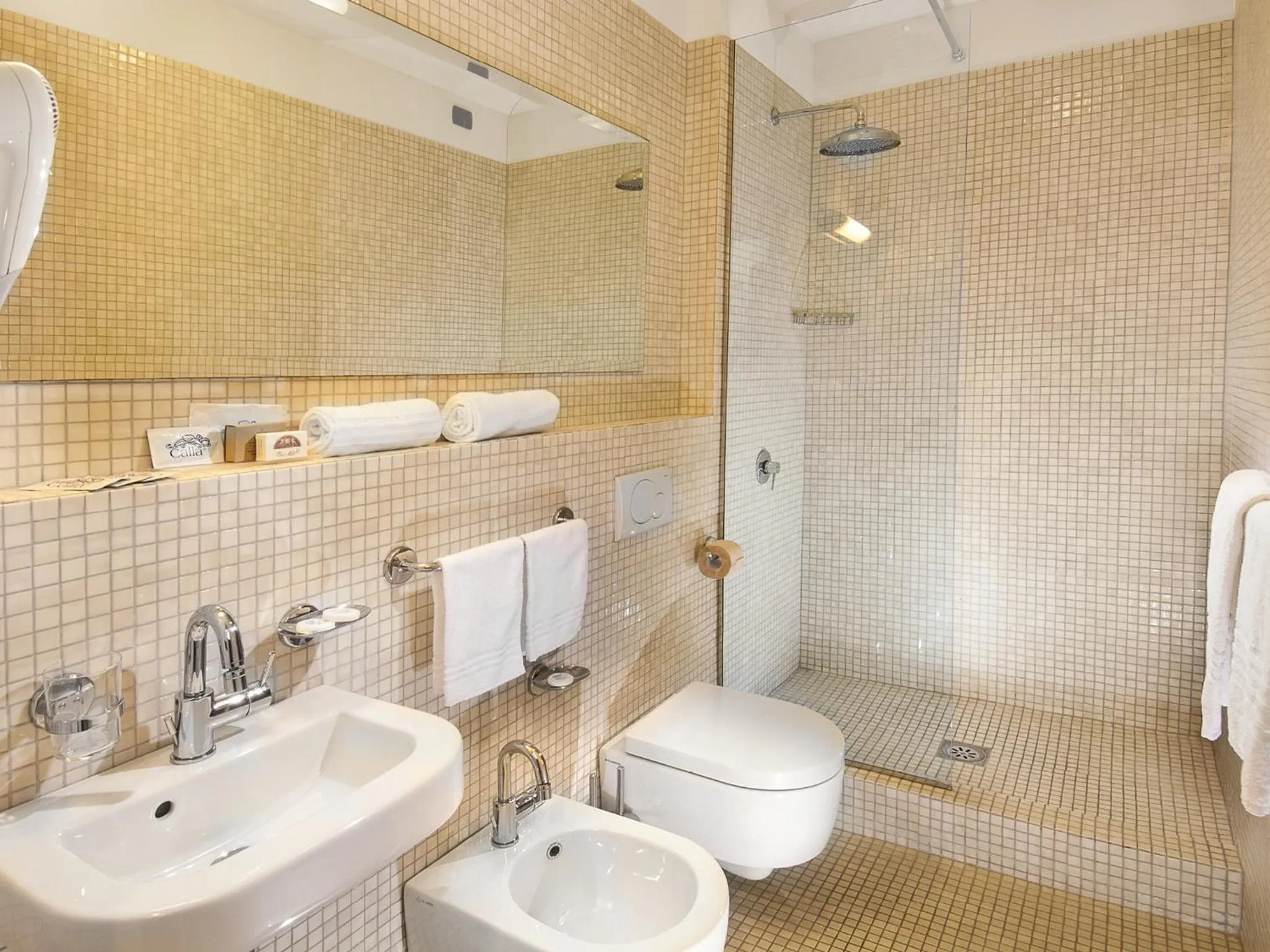 Toilet in Hotel Milano