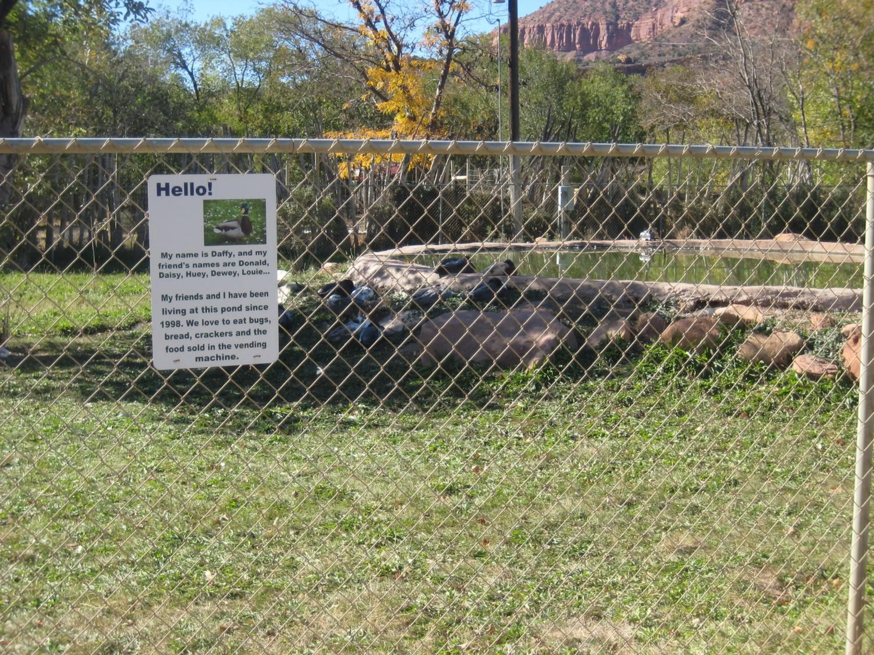 Other in Bumbleberry Inn