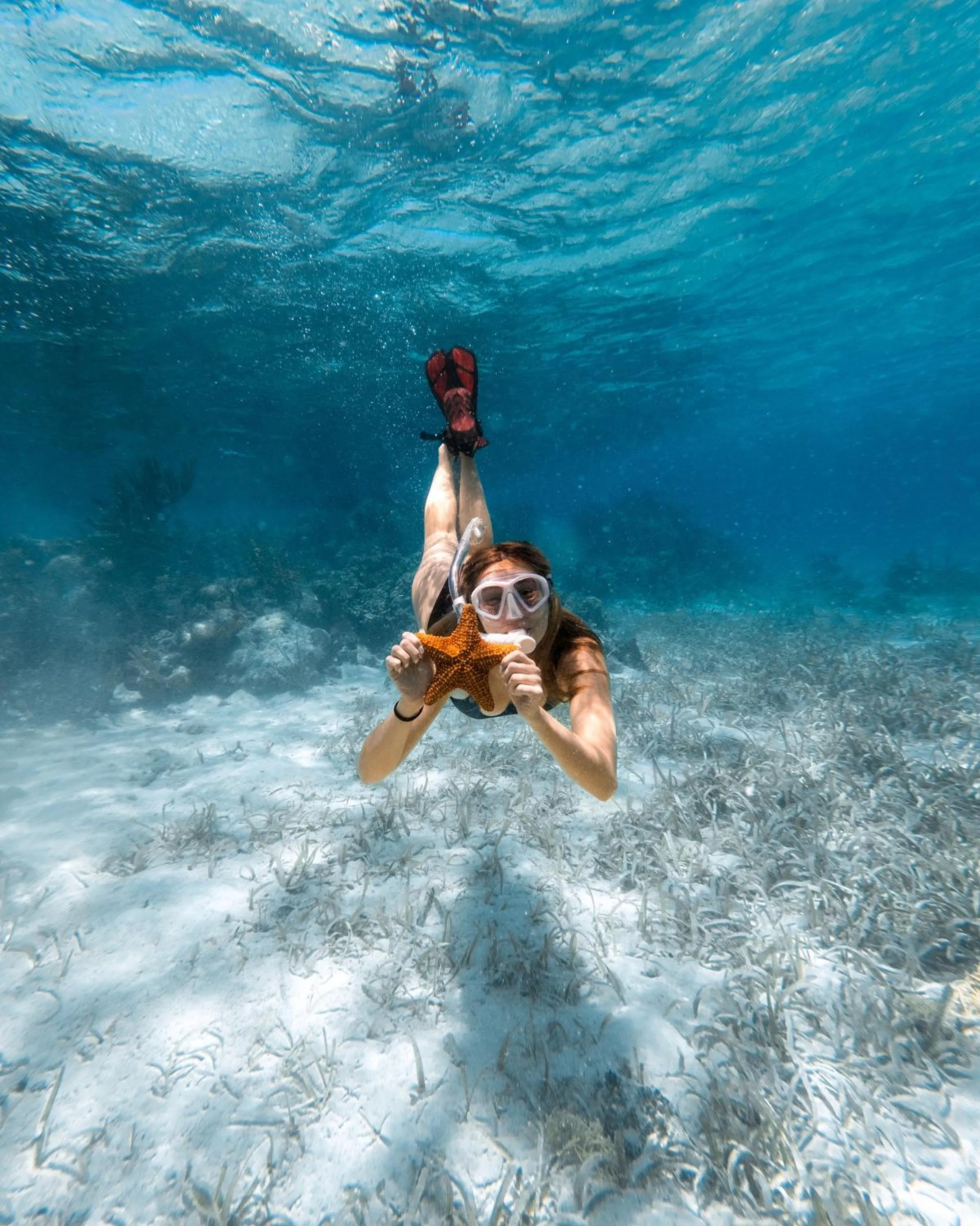 Snorkeling in Hopkins Bay Belize a Muy'Ono Resort
