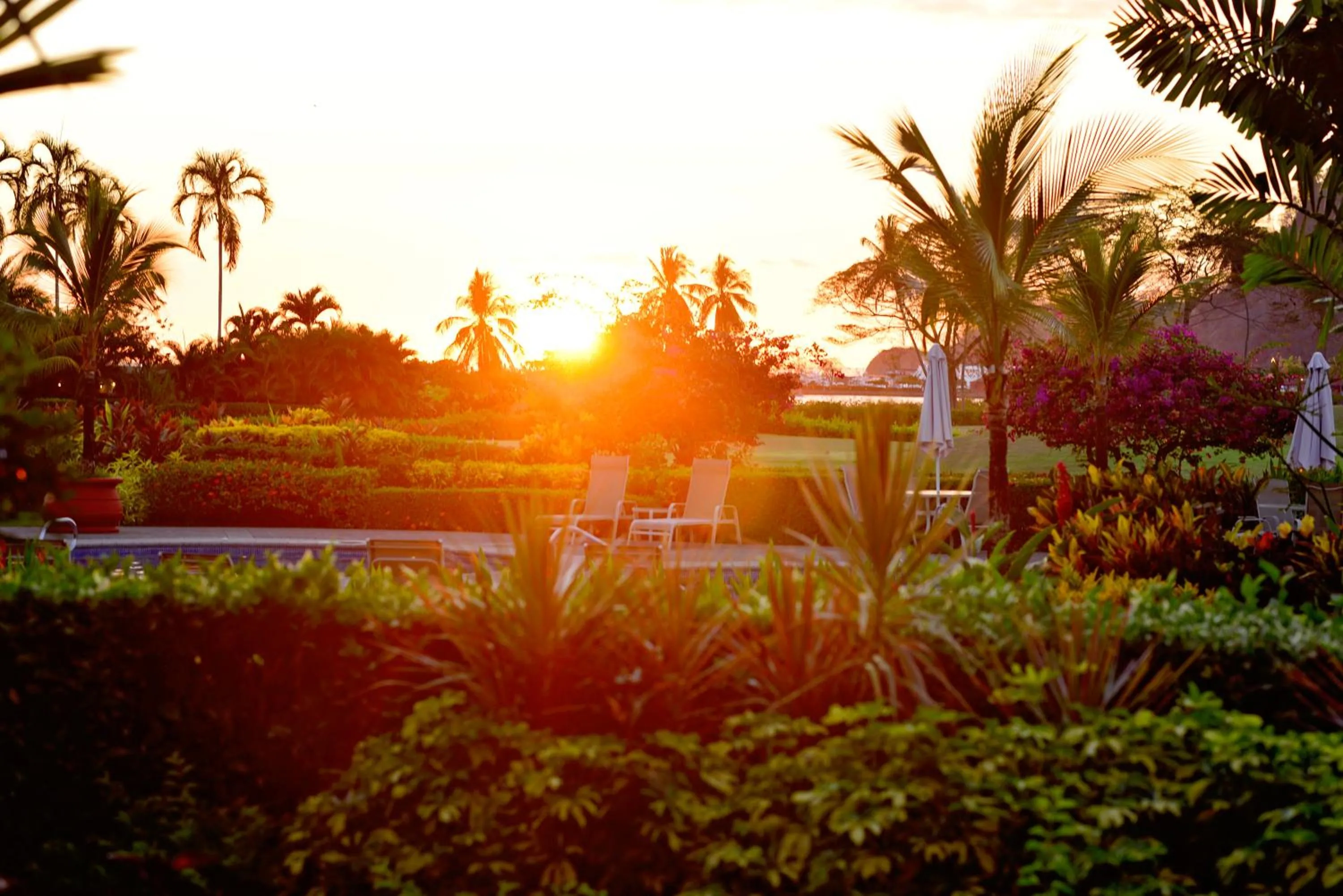 Garden in HRG Condos at Los Sueños
