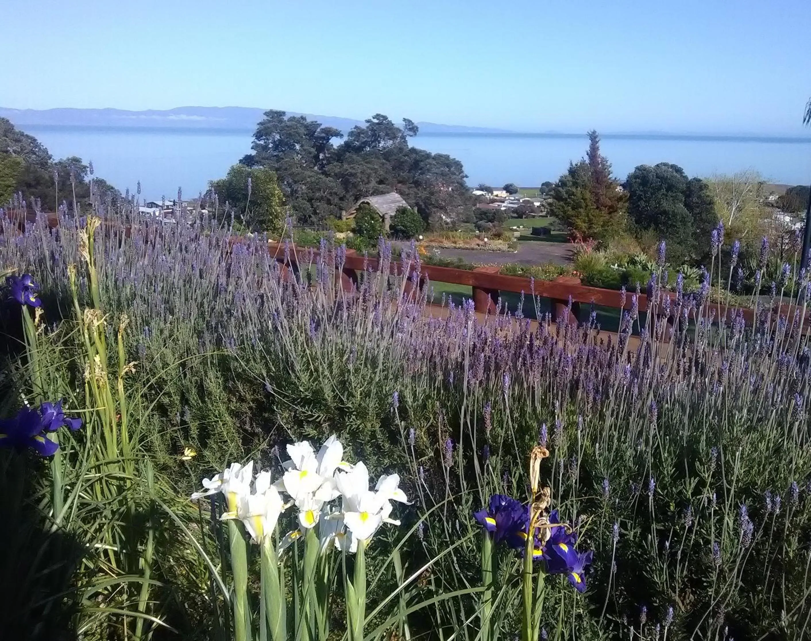 Garden view in Te Aputa Lodge formerly La Casa Te Puru Lodge