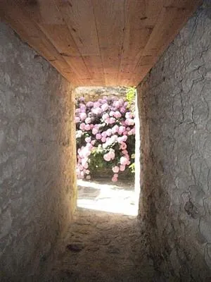Chambre d'hôtes chez Denis et Margot