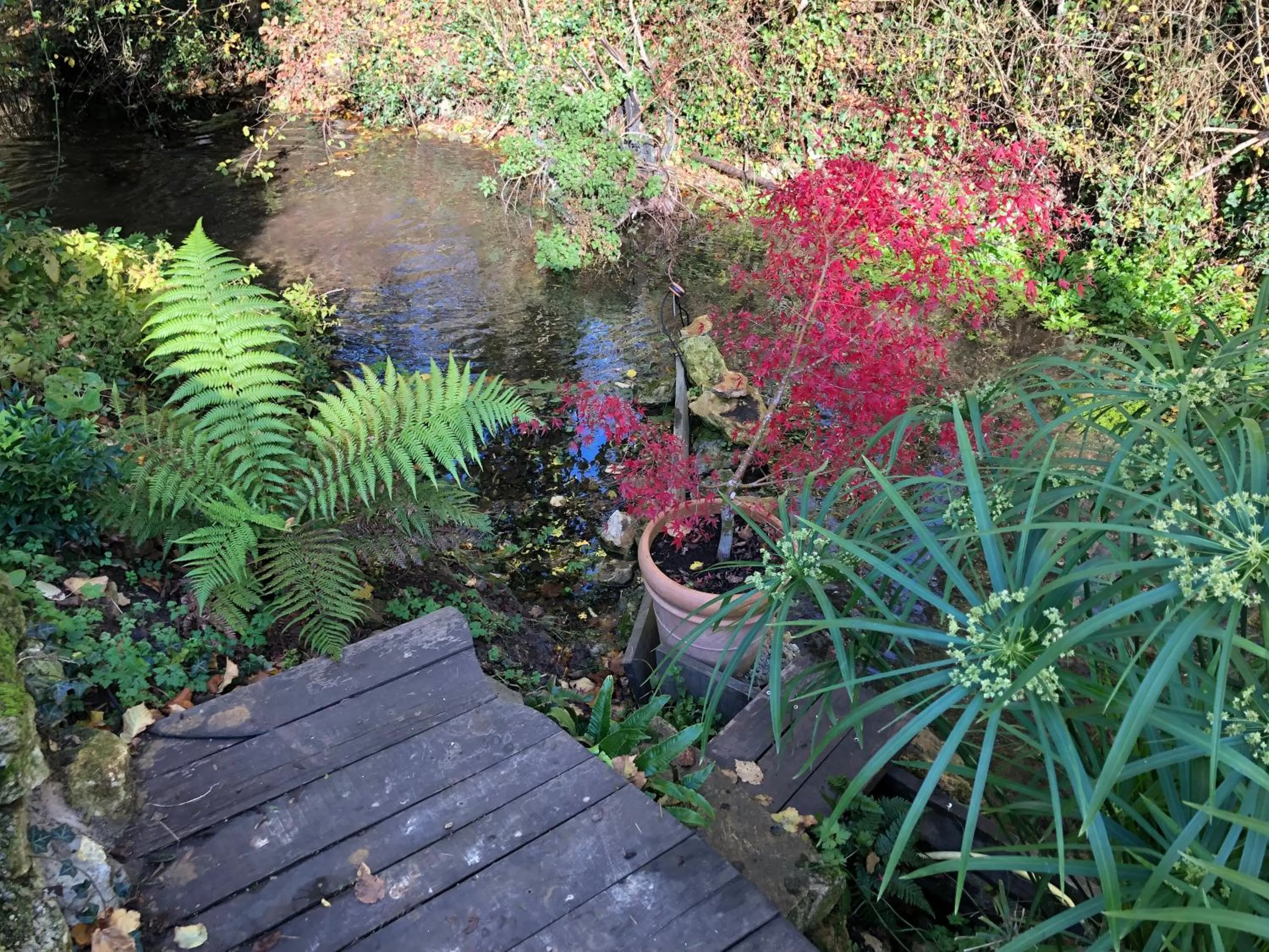 Natural landscape in Chambre d'hôtes chez Denis et Margot